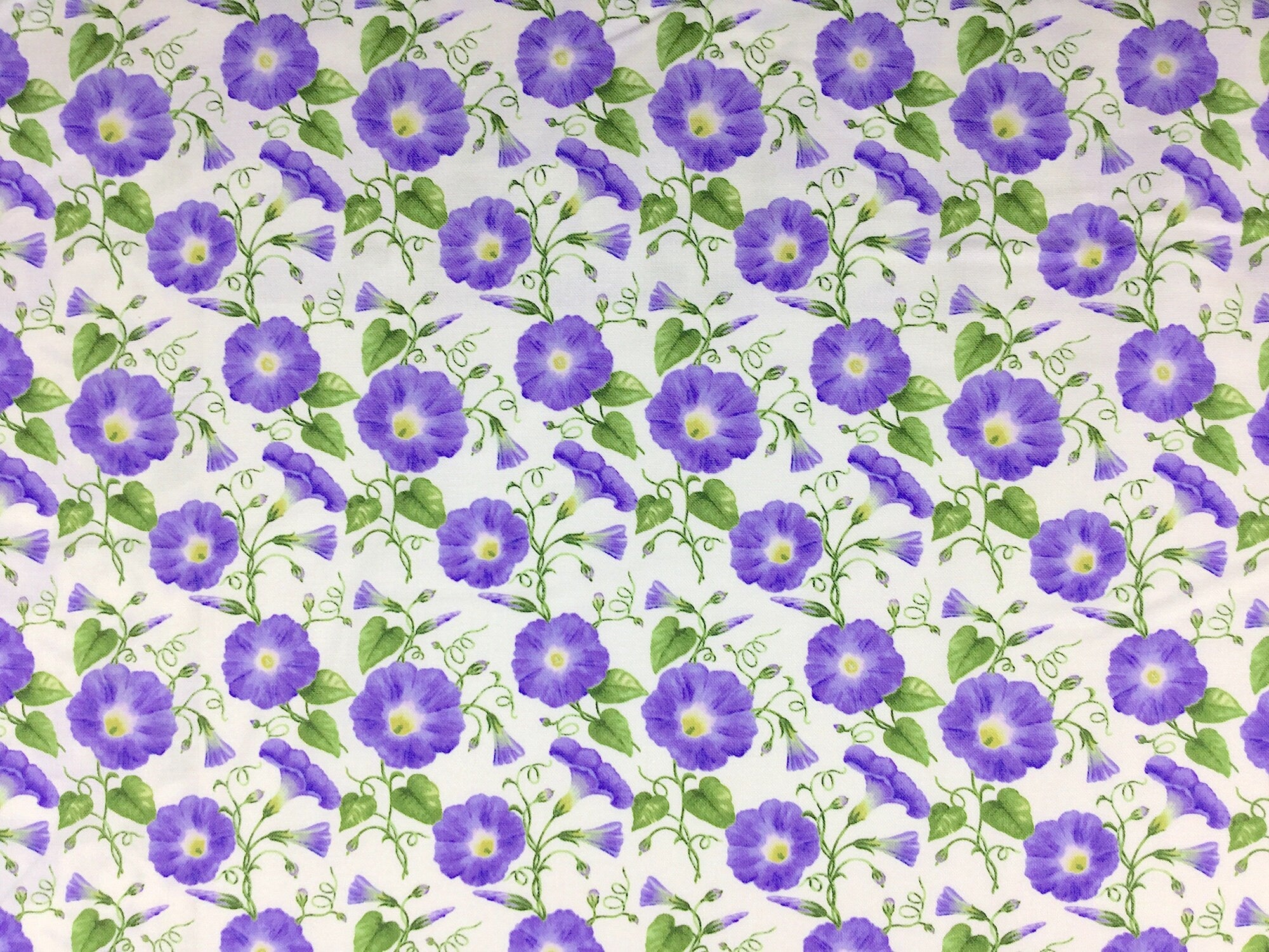 This fabric is part of the Hydrangea Birdsong Collection. This white fabric is covered with Morning Glory flowers.