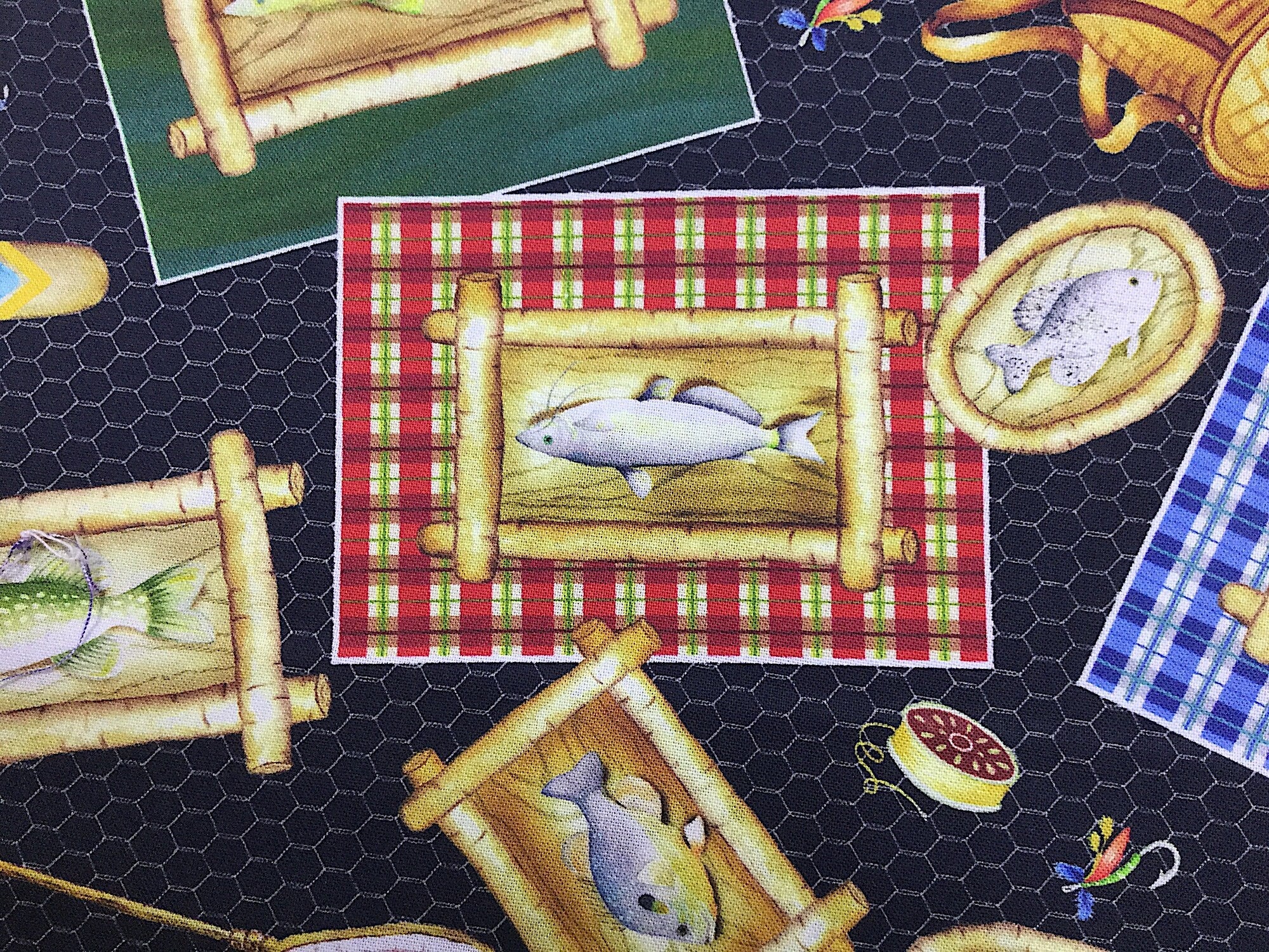 Close up of fish in frames.