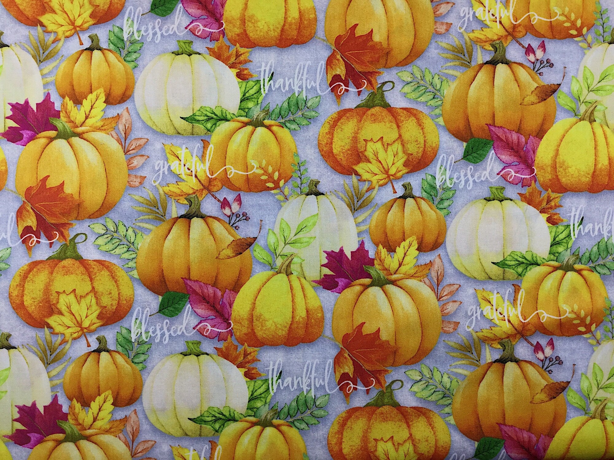 This fabric is covered with many pumpkins of different colors and sizes. There are sayings such as blessed, and thankful mixed in with the pumpkins and leaves on this gray fabric