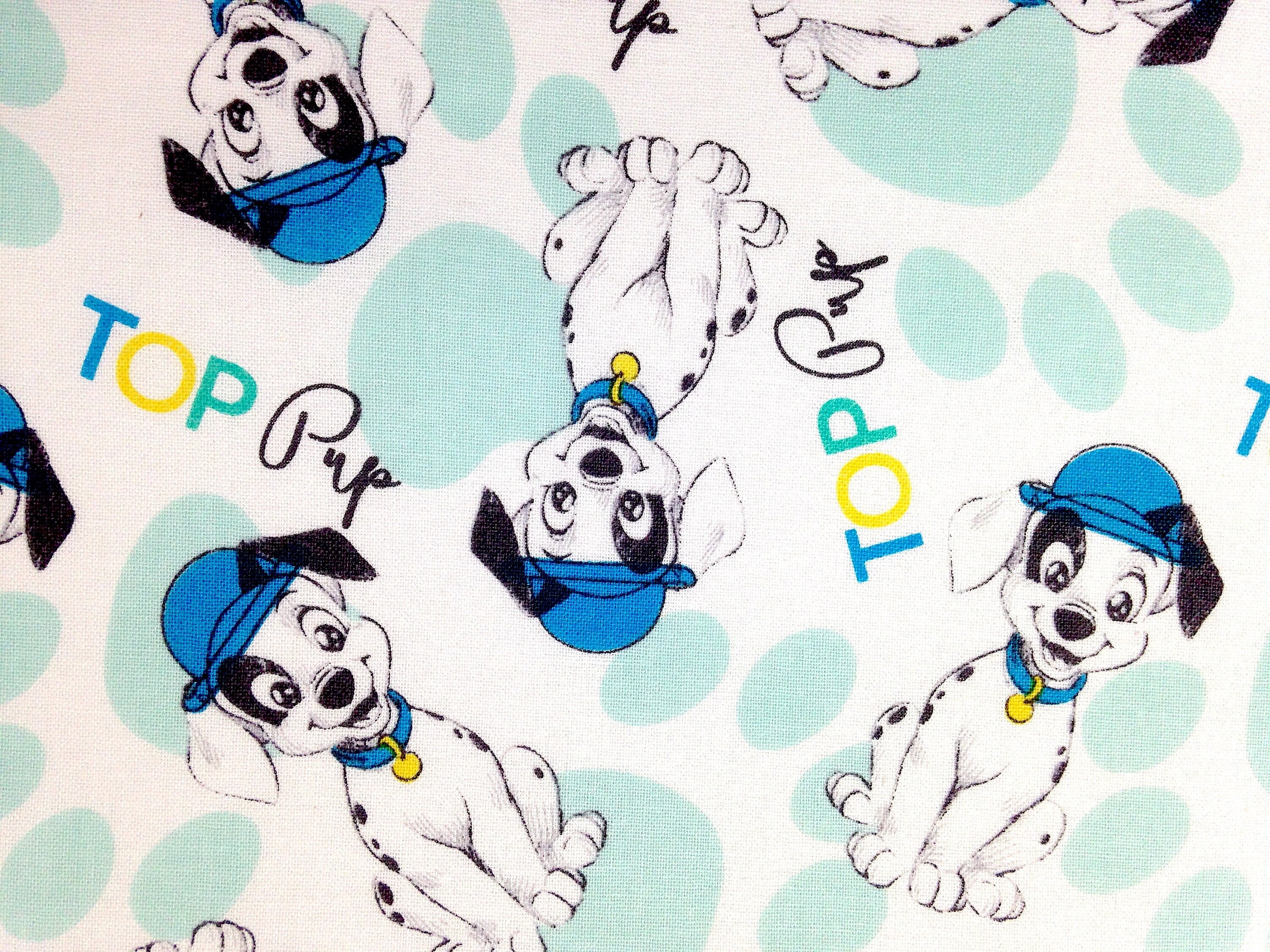 Close up of top pup dogs wearing blue hats.