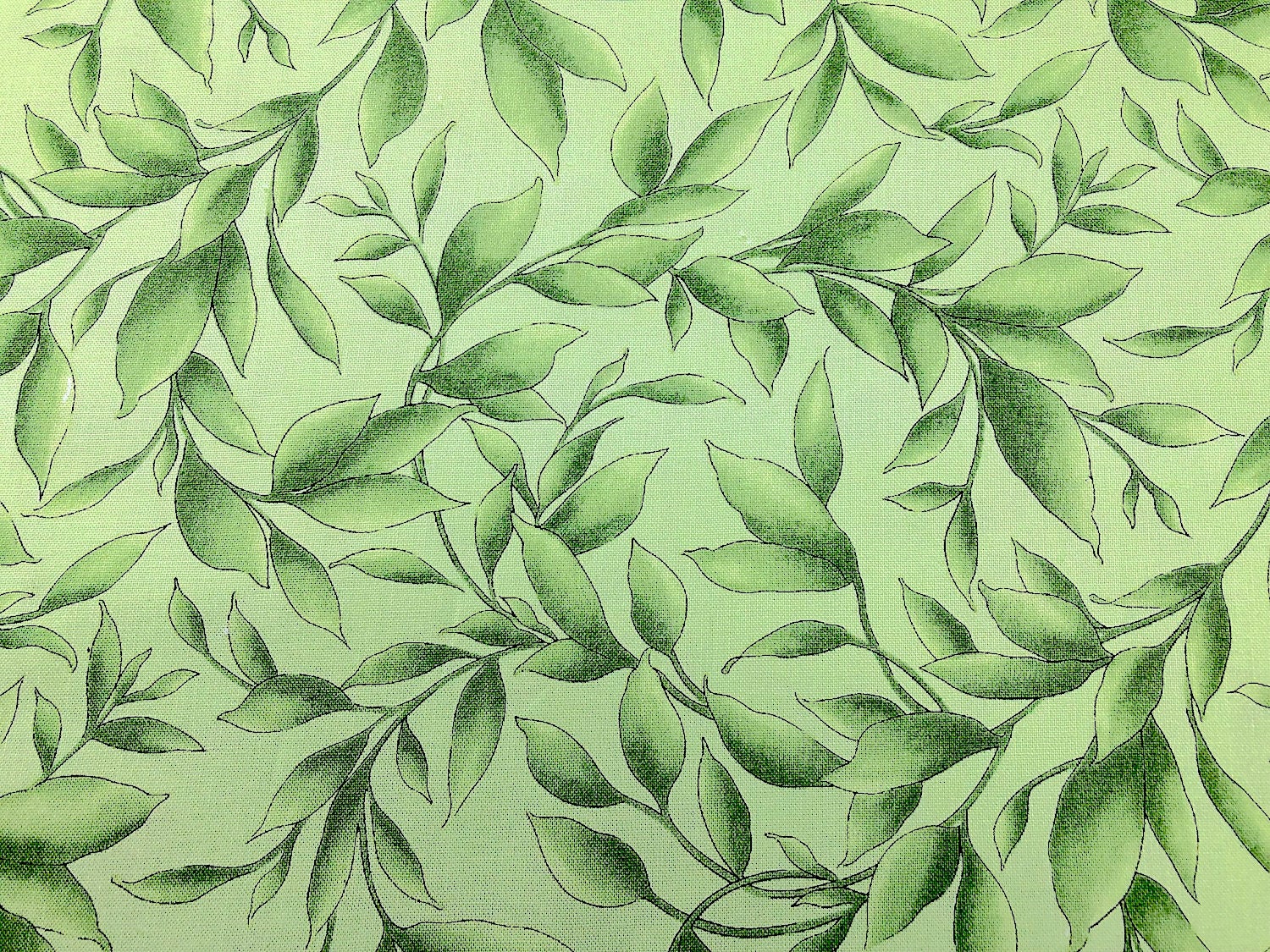 Close up of green leaves.