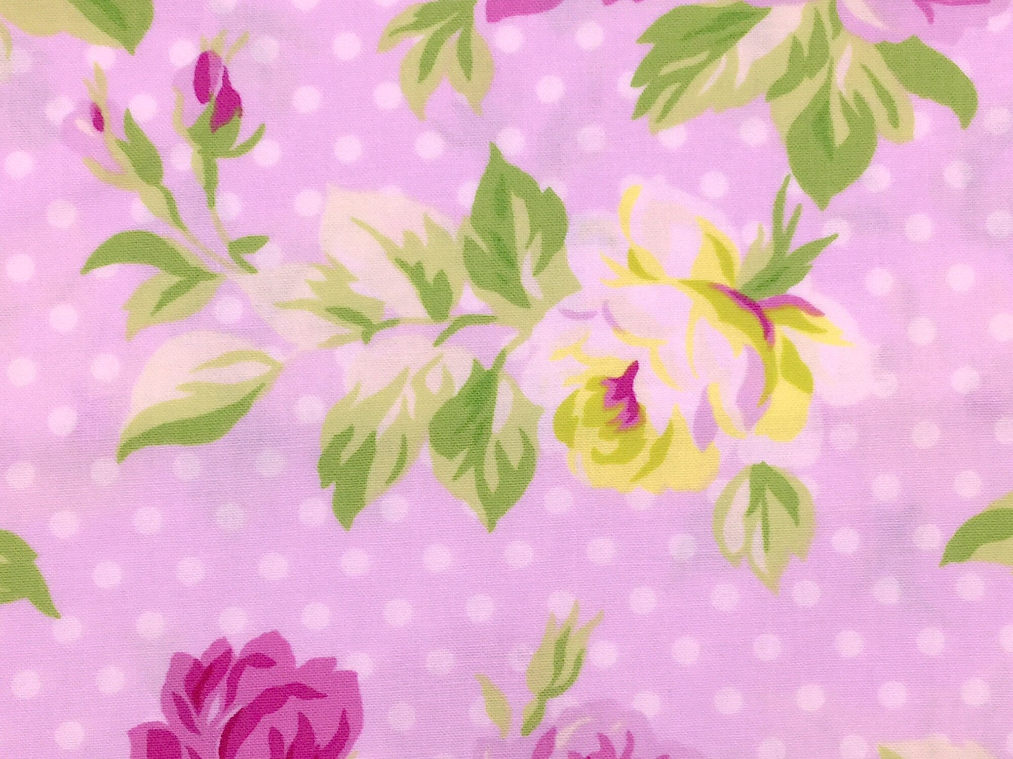 Close up of roses and leaves on a pink background.