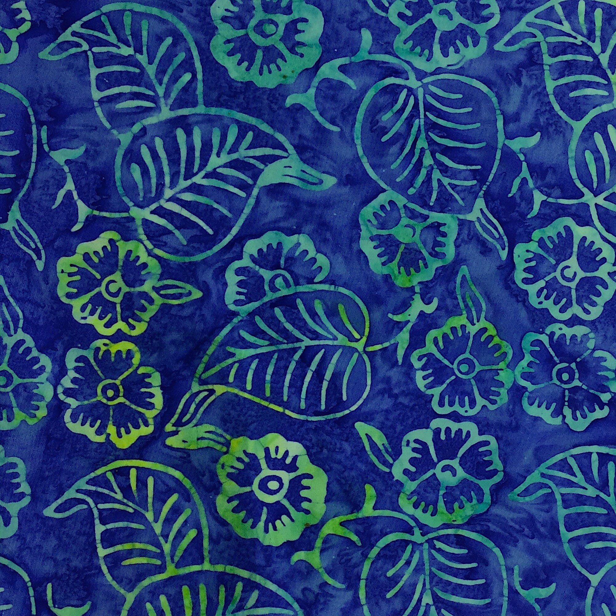 Close up of flowers and leaves on a blue background.