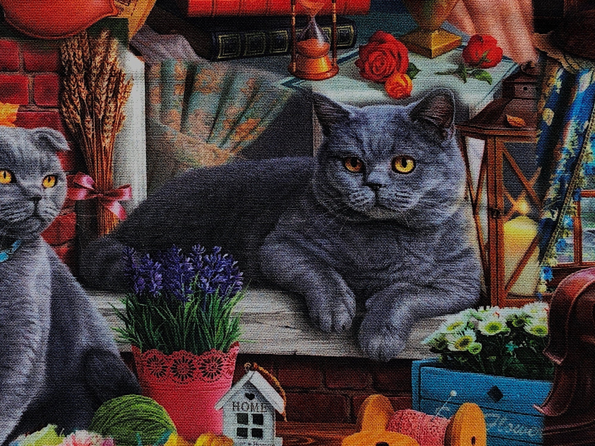 Close up of a grey cat laying on a shelf.