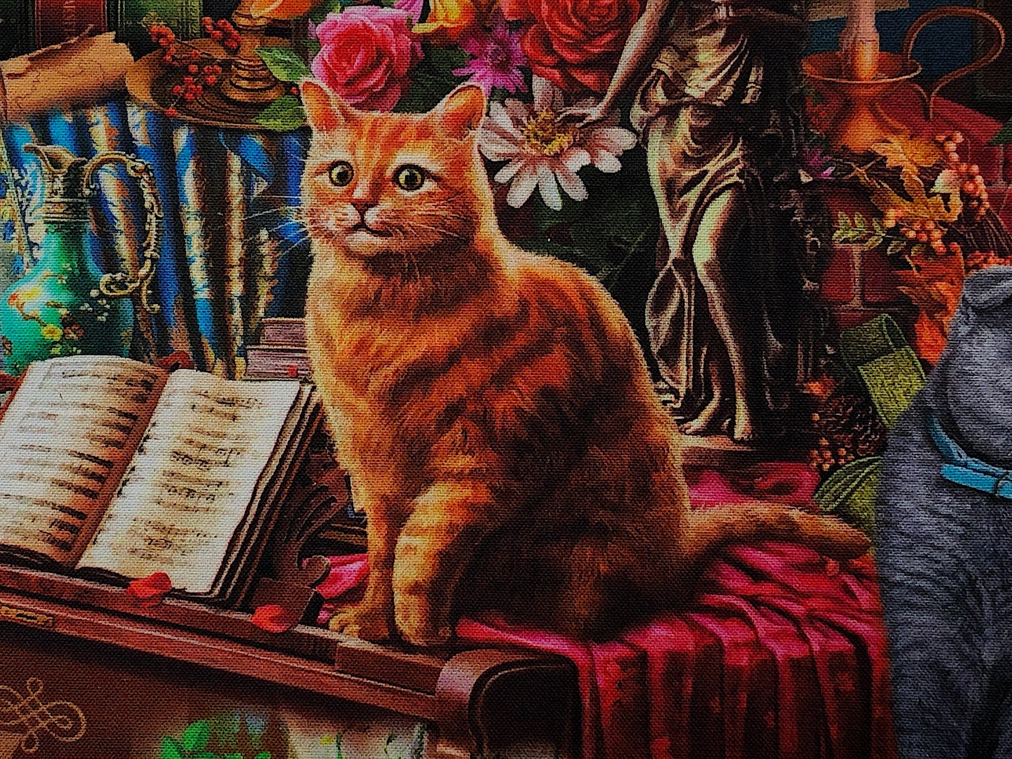 Close up of an orange cat by sheet music.