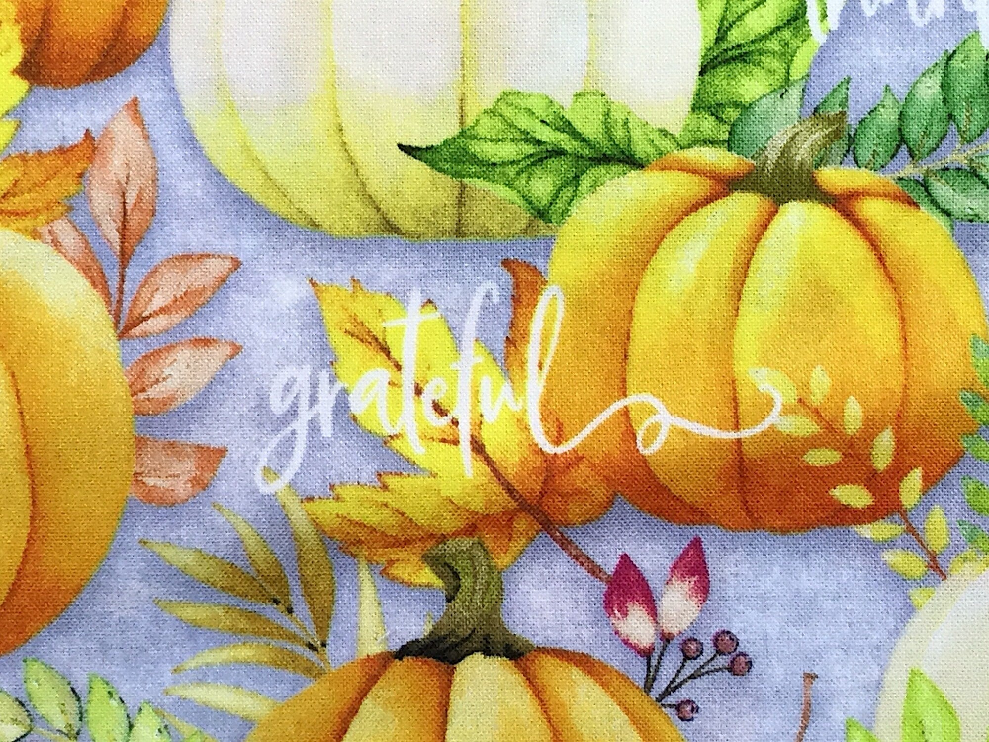 Close up of a pumpkin and the word grateful.
