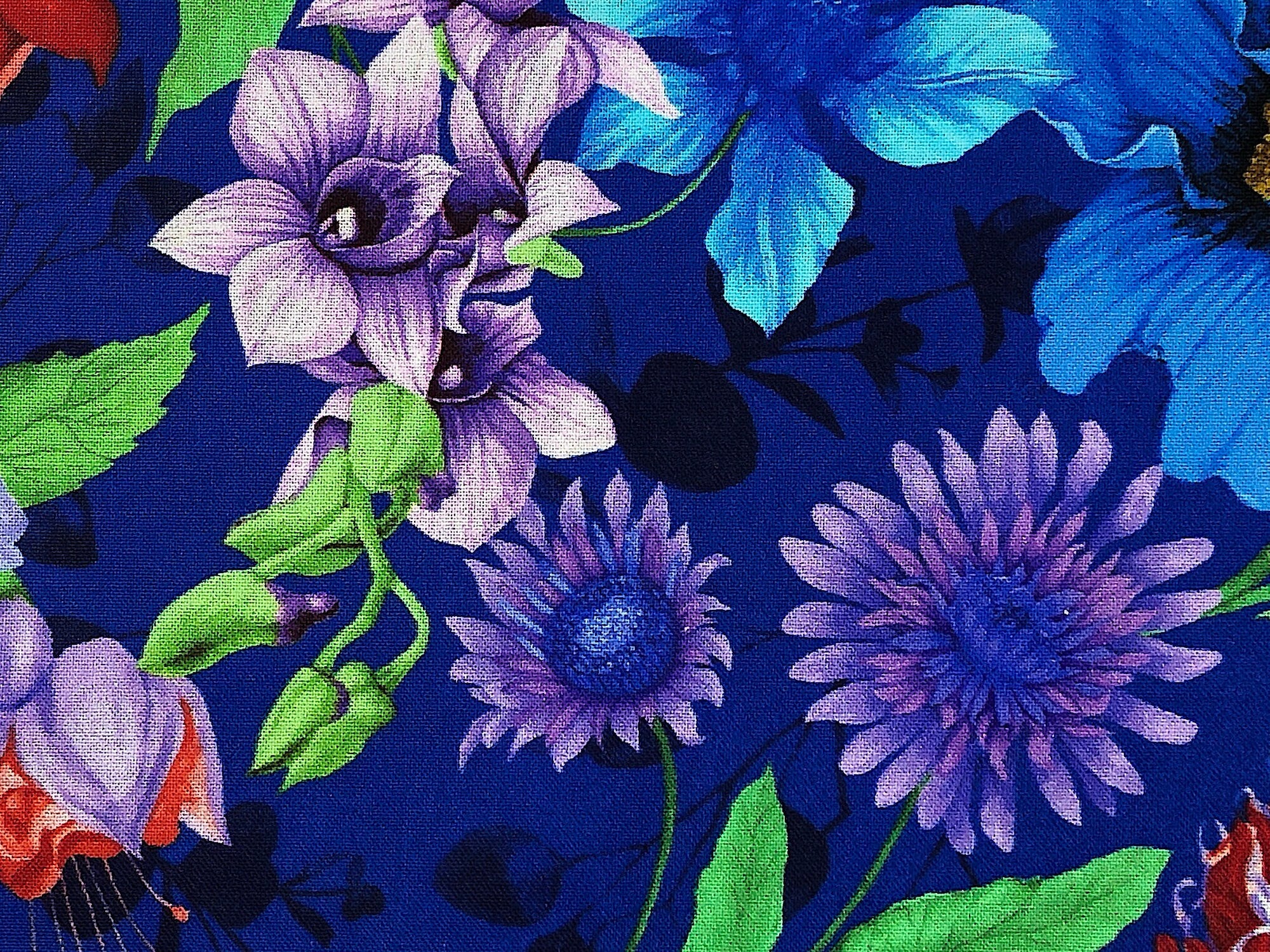 Close up of purple flowers and green leaves.