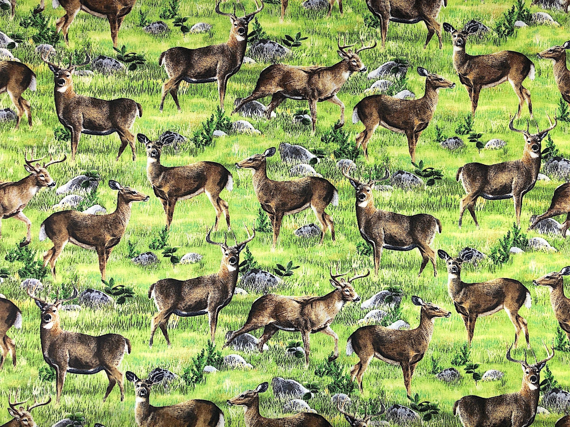 This wildlife fabric is covered with deer roaming throughout a field of grass and rocks.
