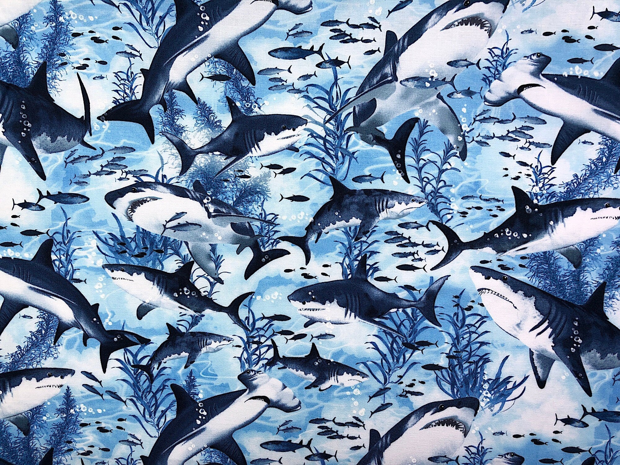 This sea life fabric is covered with many different types of sharks. There are fish and seaweed spread throughout the fabric pattern. The background is a light blue.