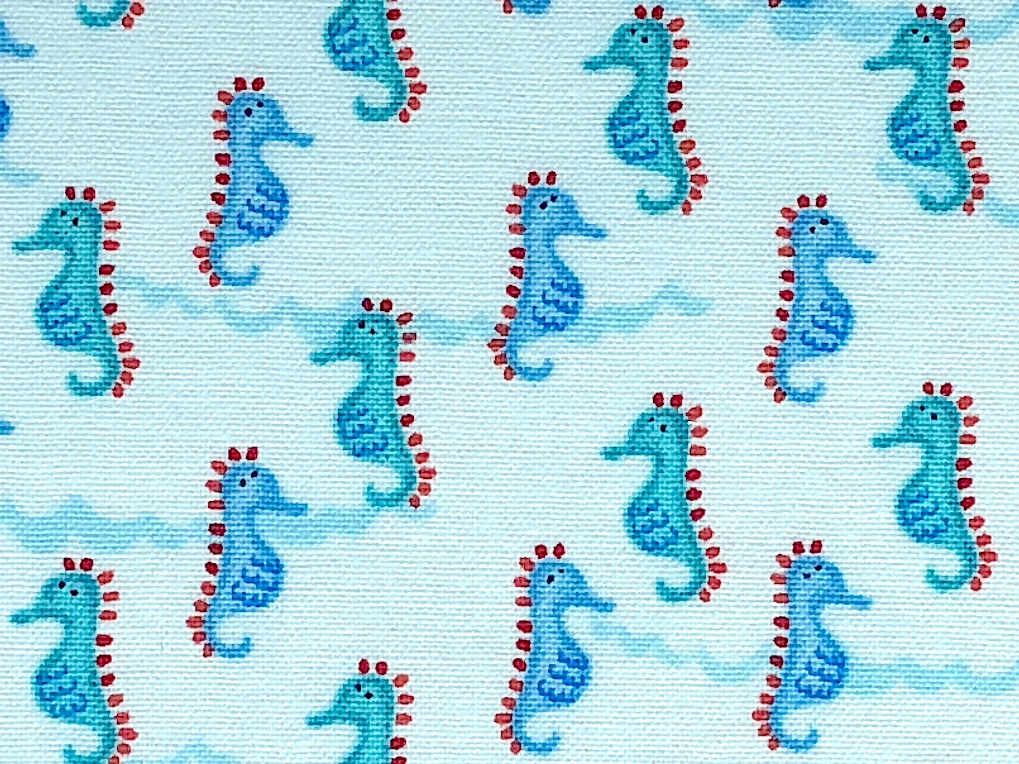 Close up of sea horses on a blue background.