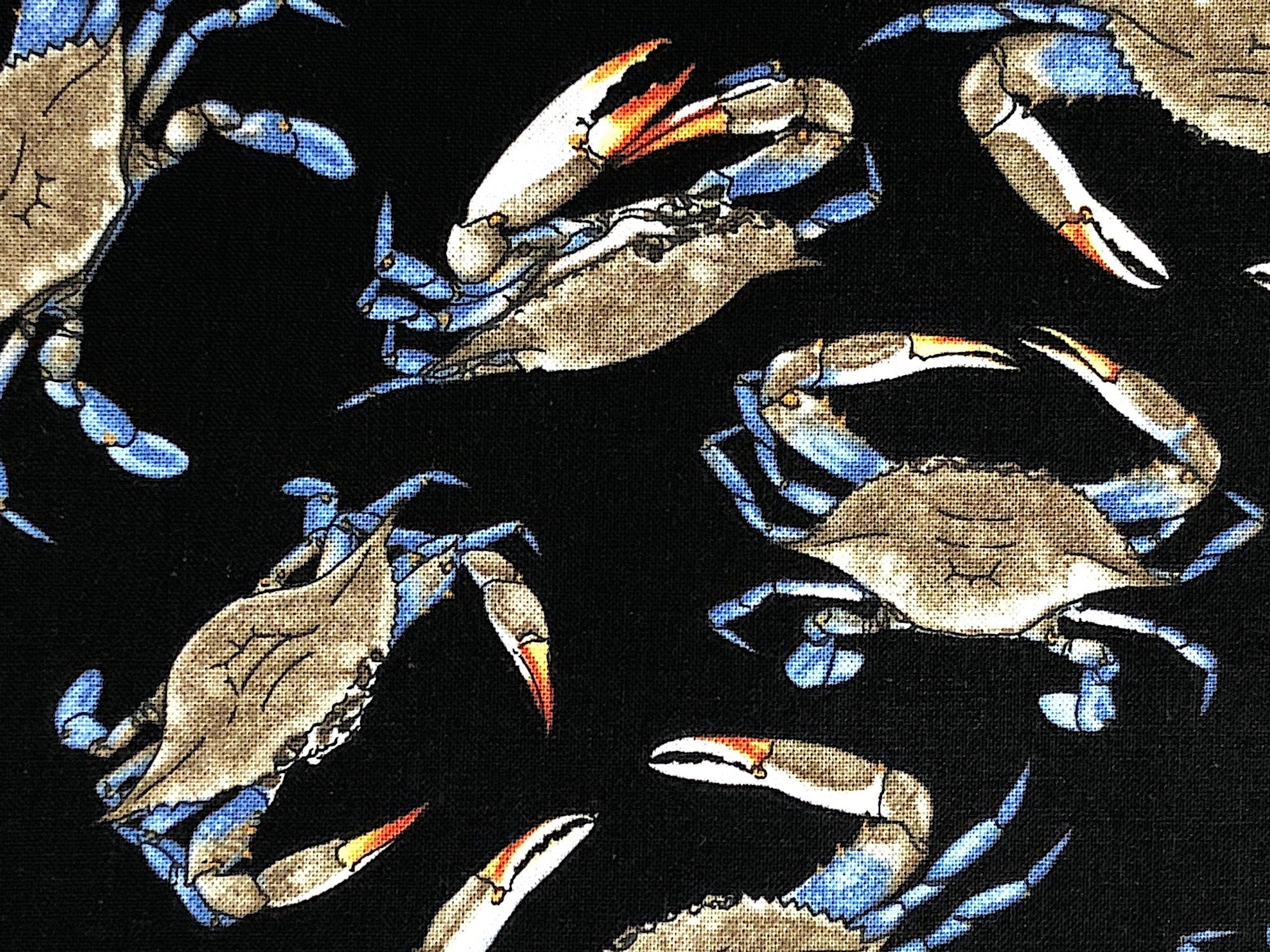 Close up of crabs on a black background.