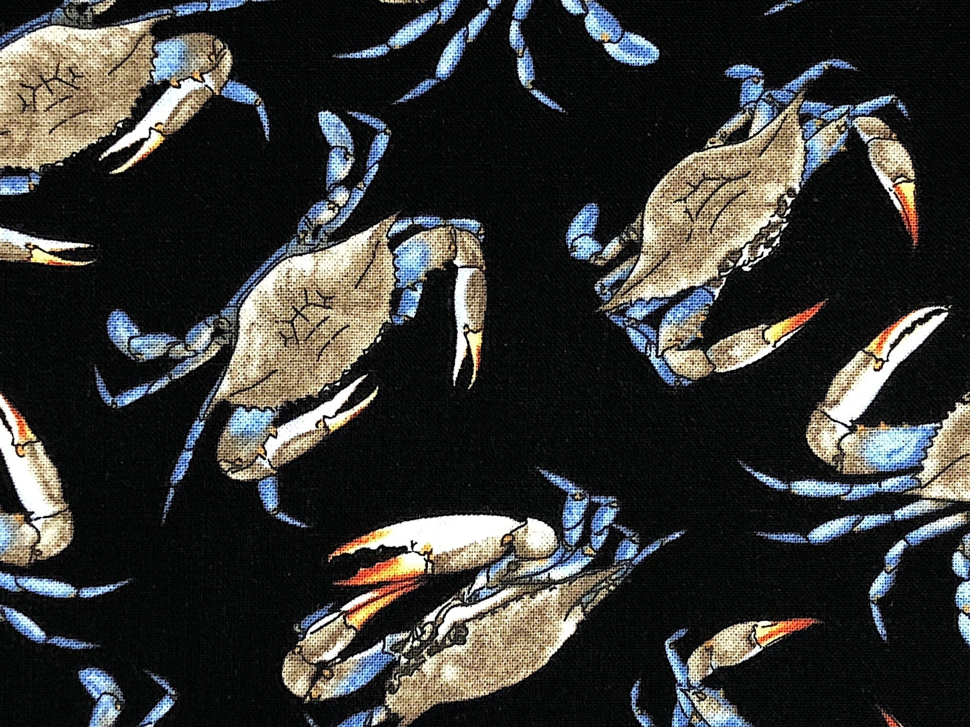 Close up of crabs on a black background.