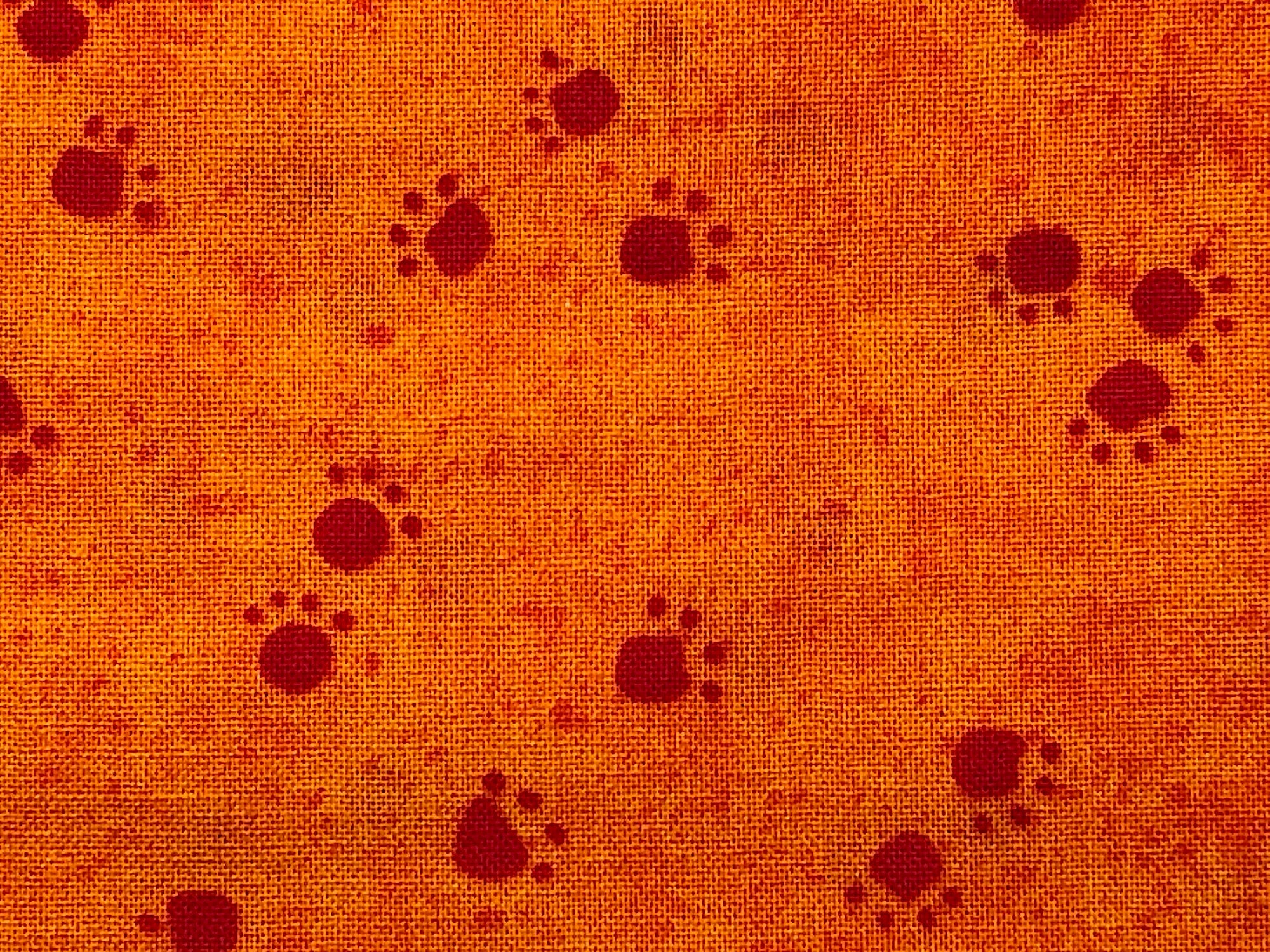 Close up of paw prints.