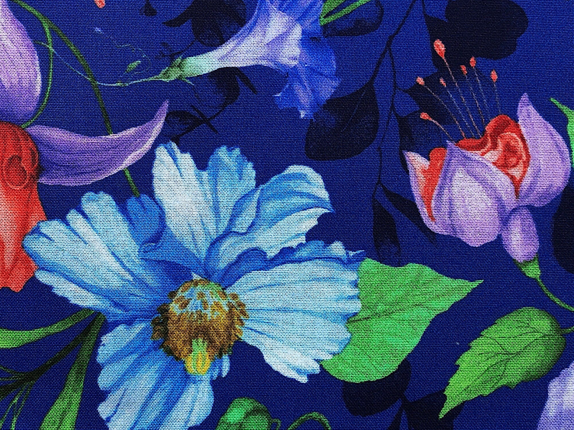 Close up of a blue flower.
