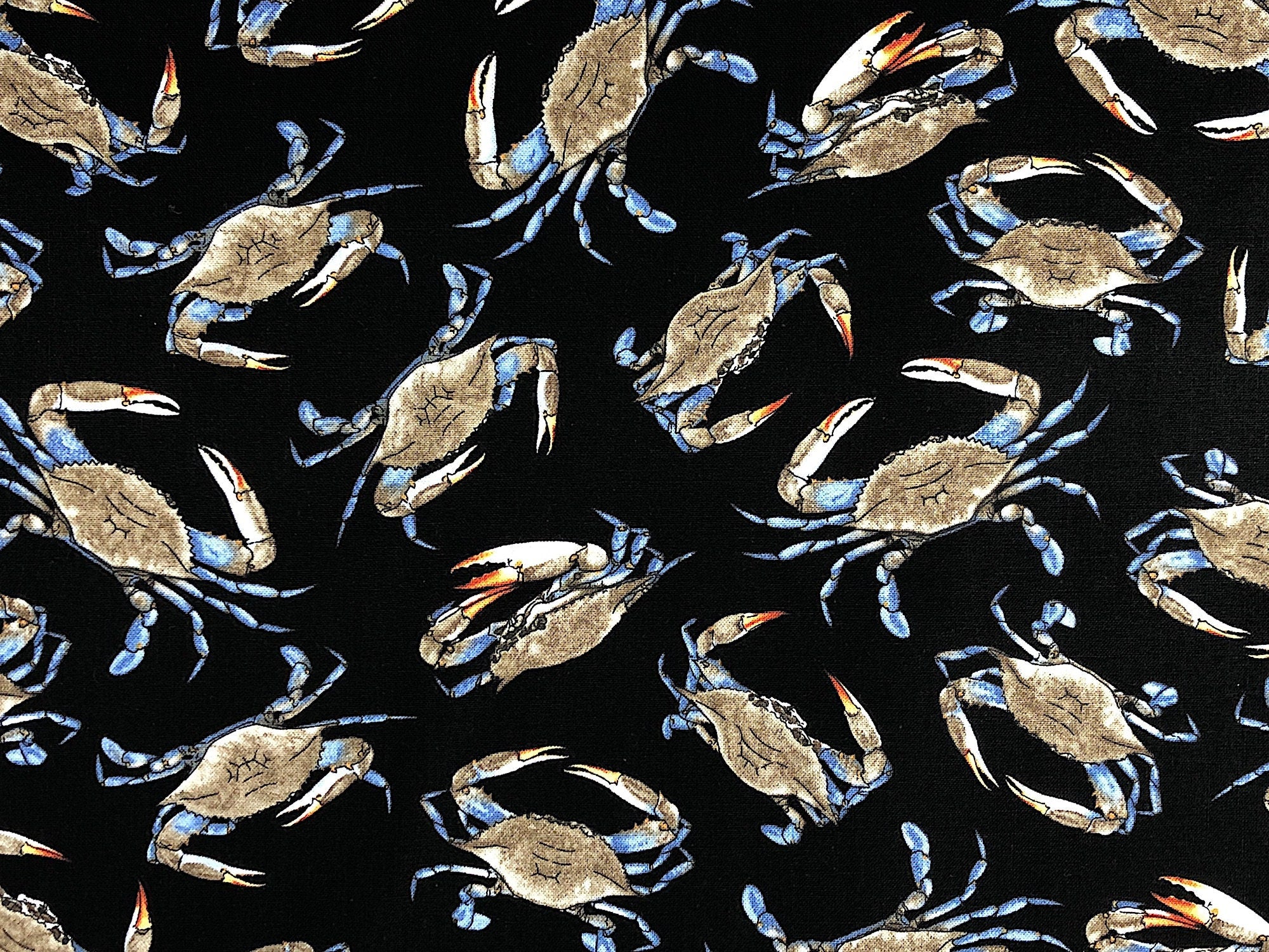 Close up of crabs on black fabric.