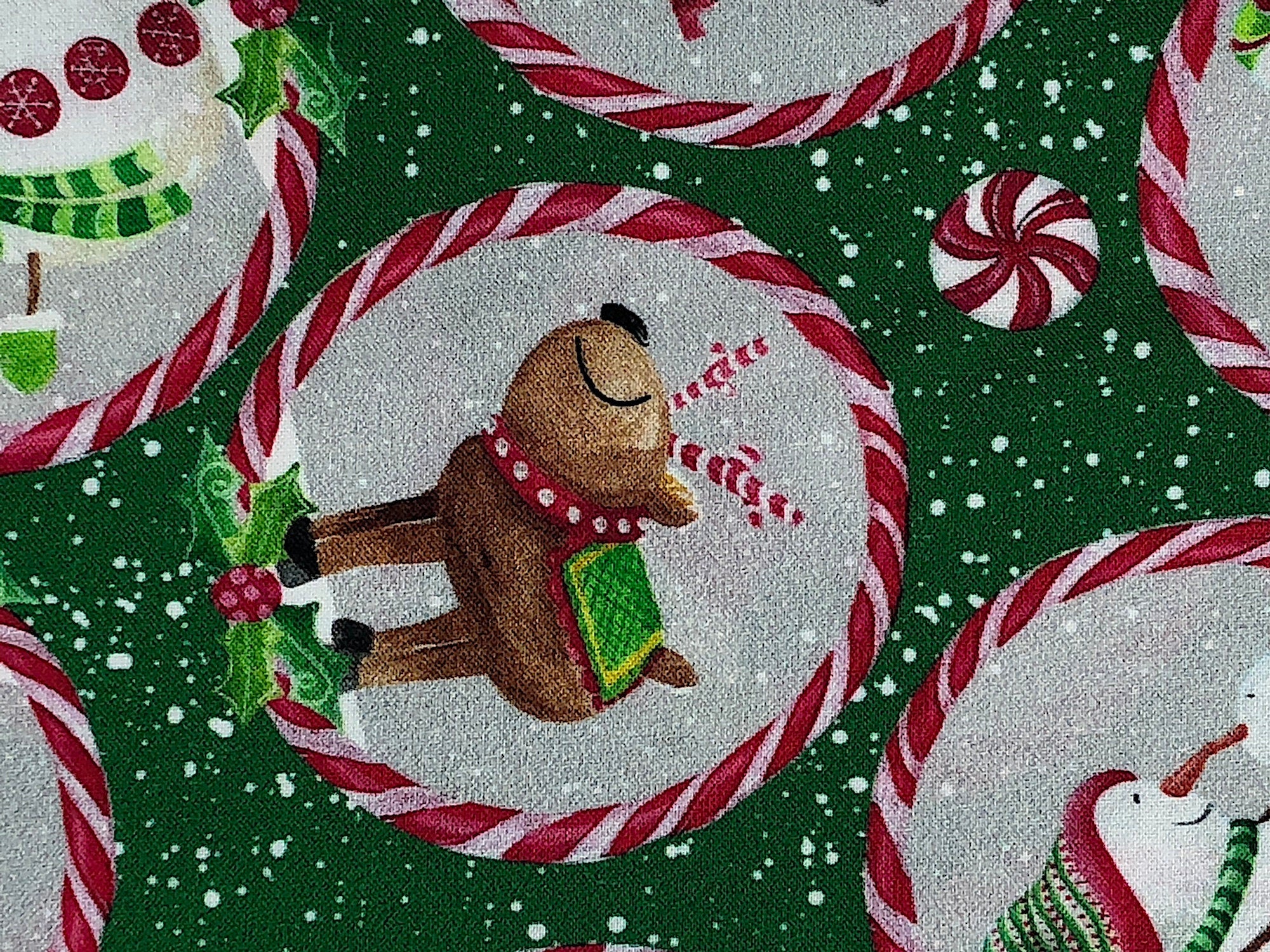 Close up of a reindeer with candy antlers.
