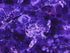 Close up of purple turtles.