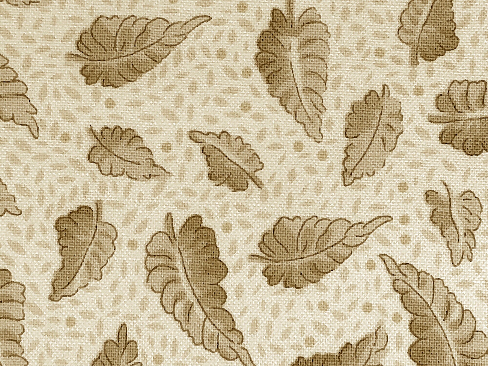 Close up of leaves that are shades of brown and beige.