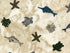 Close up of turtles, fish and more on a sand background.