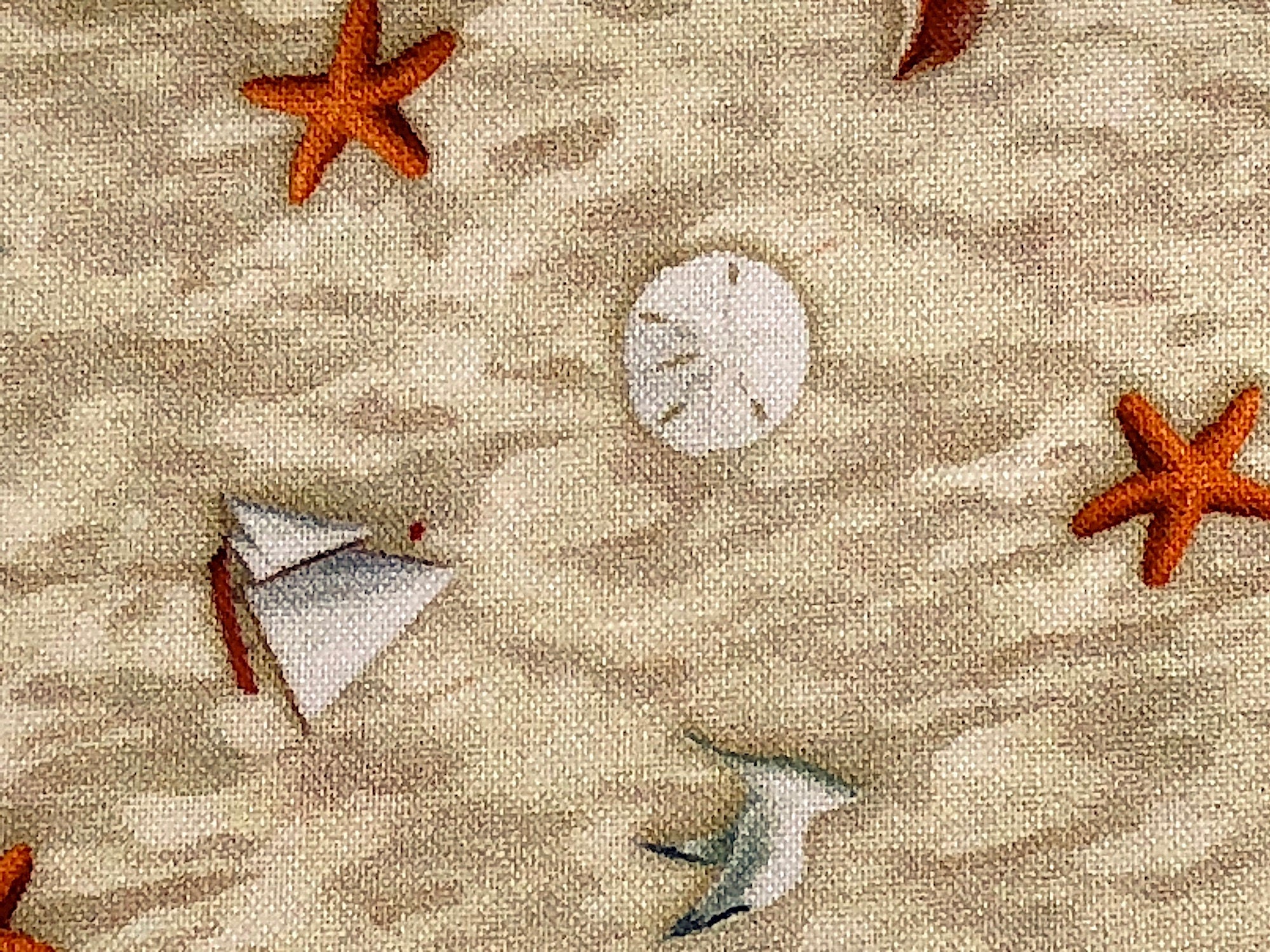 Close up of sand fabric covered with sea shells.