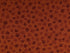 This paw print fabric is called where's the cat. Two shades of brown paw prints cover this fabric.