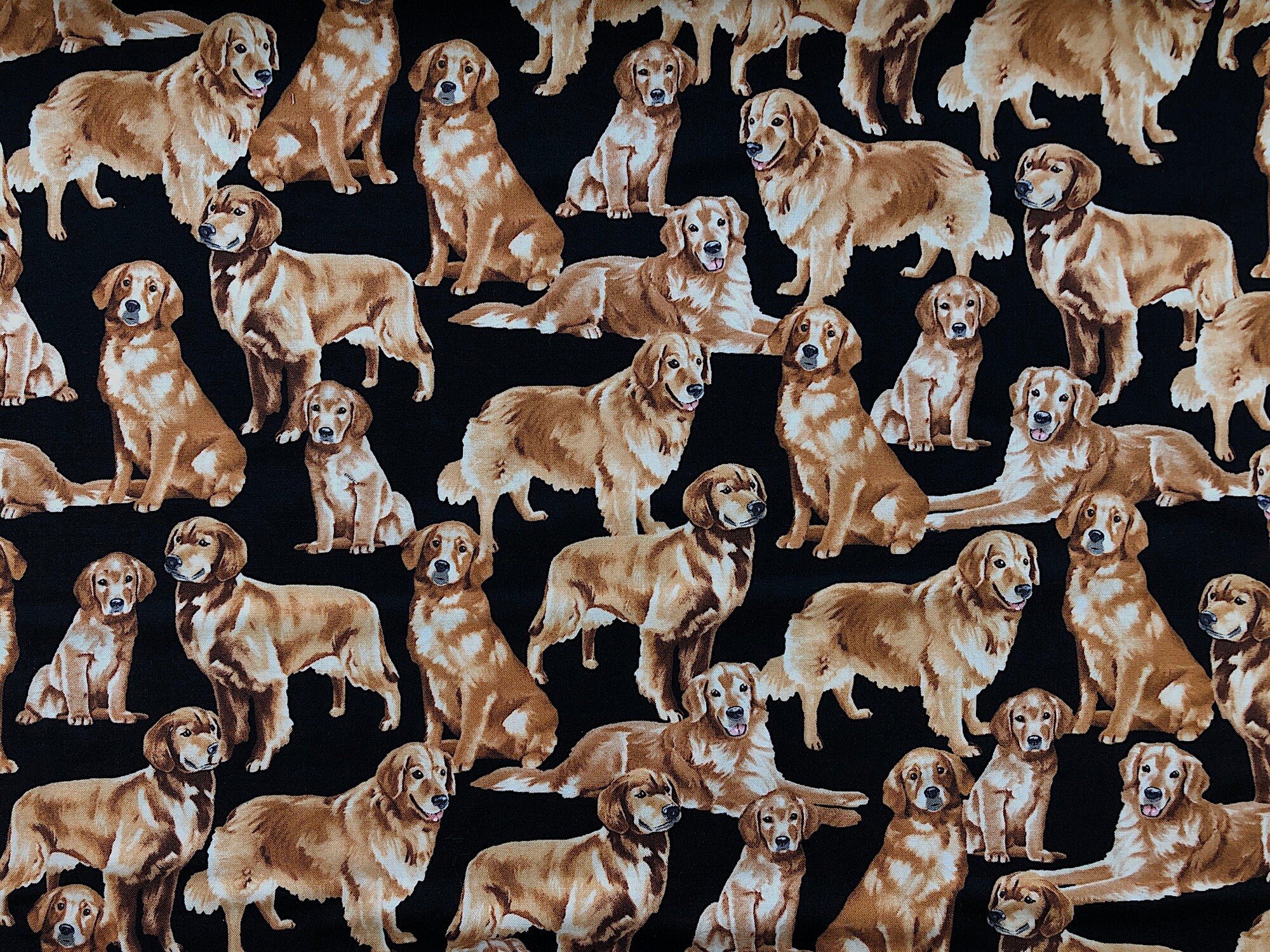 This fabric is covered with Golden Retrievers. Some are sitting, some are standing and some are laying down.