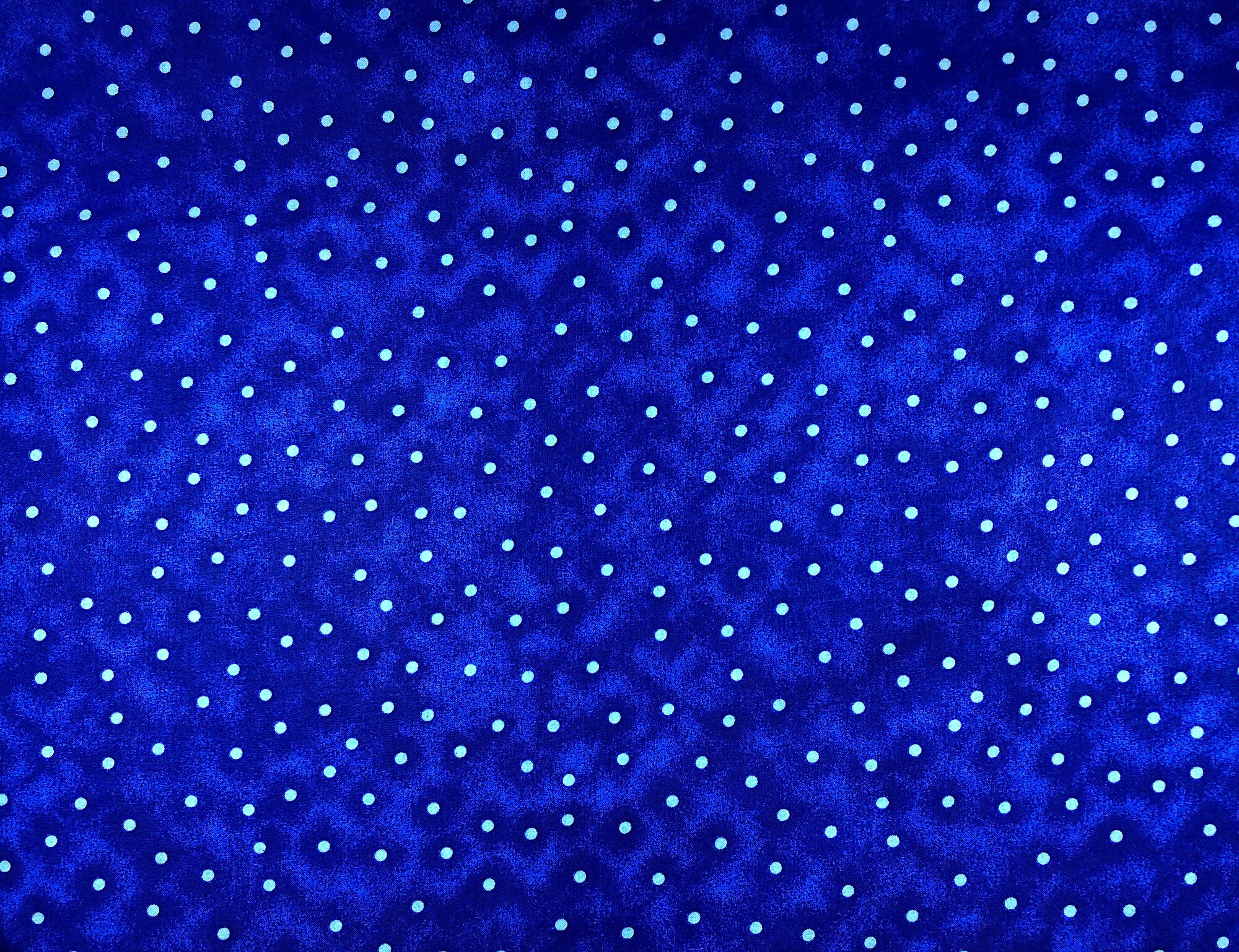 This wide blue fabric is covered with light blue dots. The blue backing is a mixture of several shades of blue.