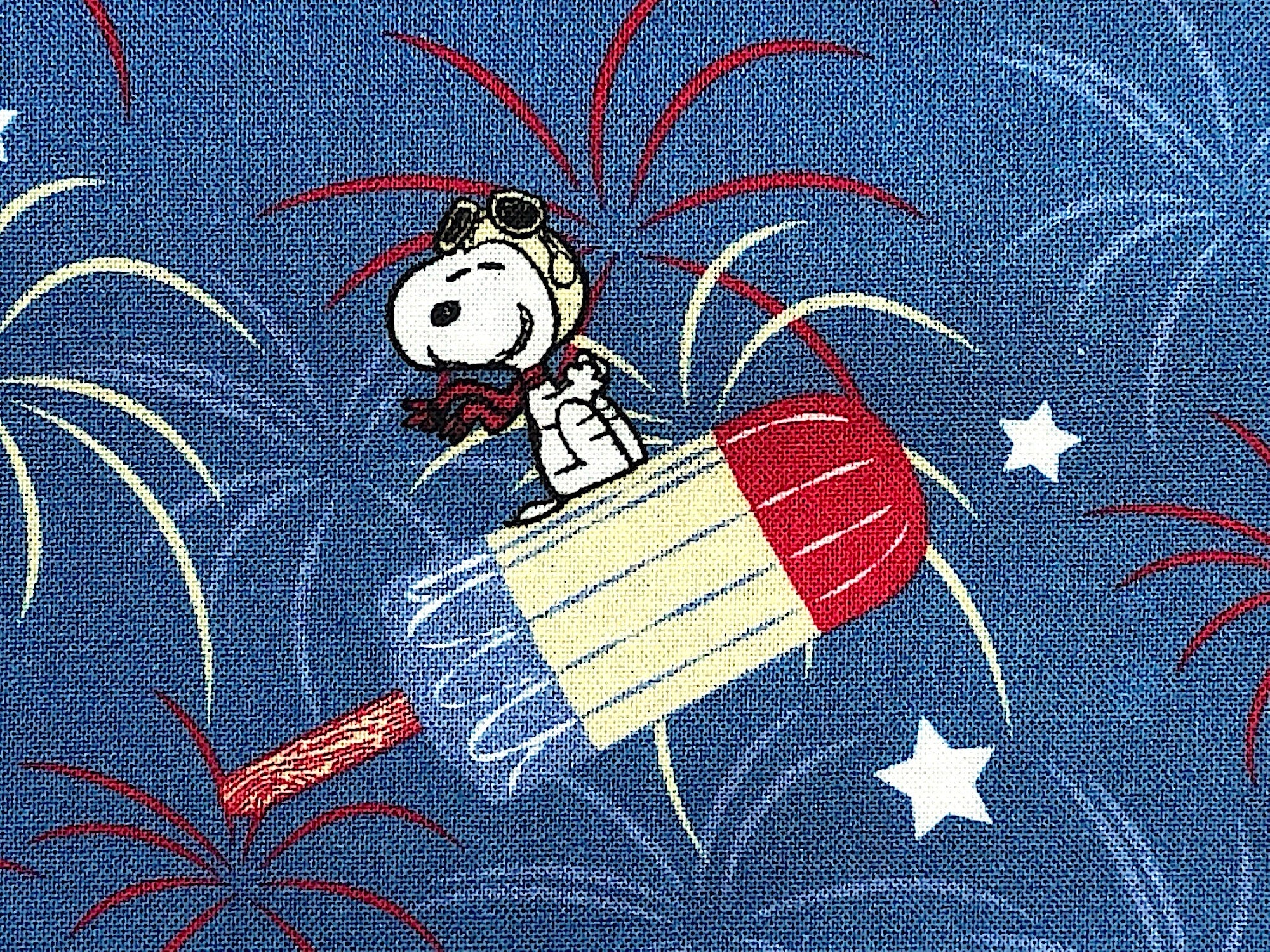 Close up of Snoopy sitting on a popsicle.