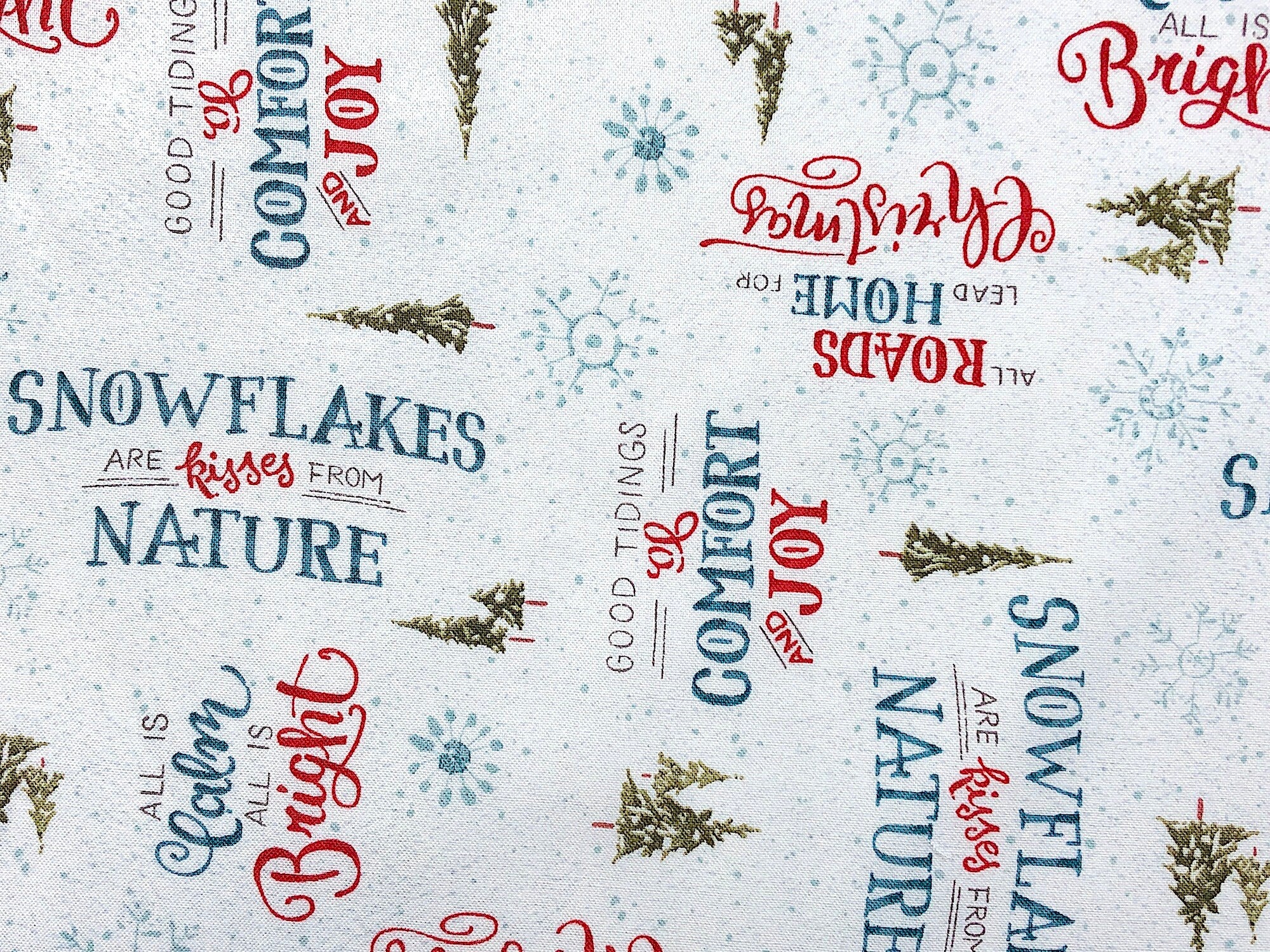 Close up of sayings such as snowflakes are kisses from nature and good tidings of comfort and joy.
