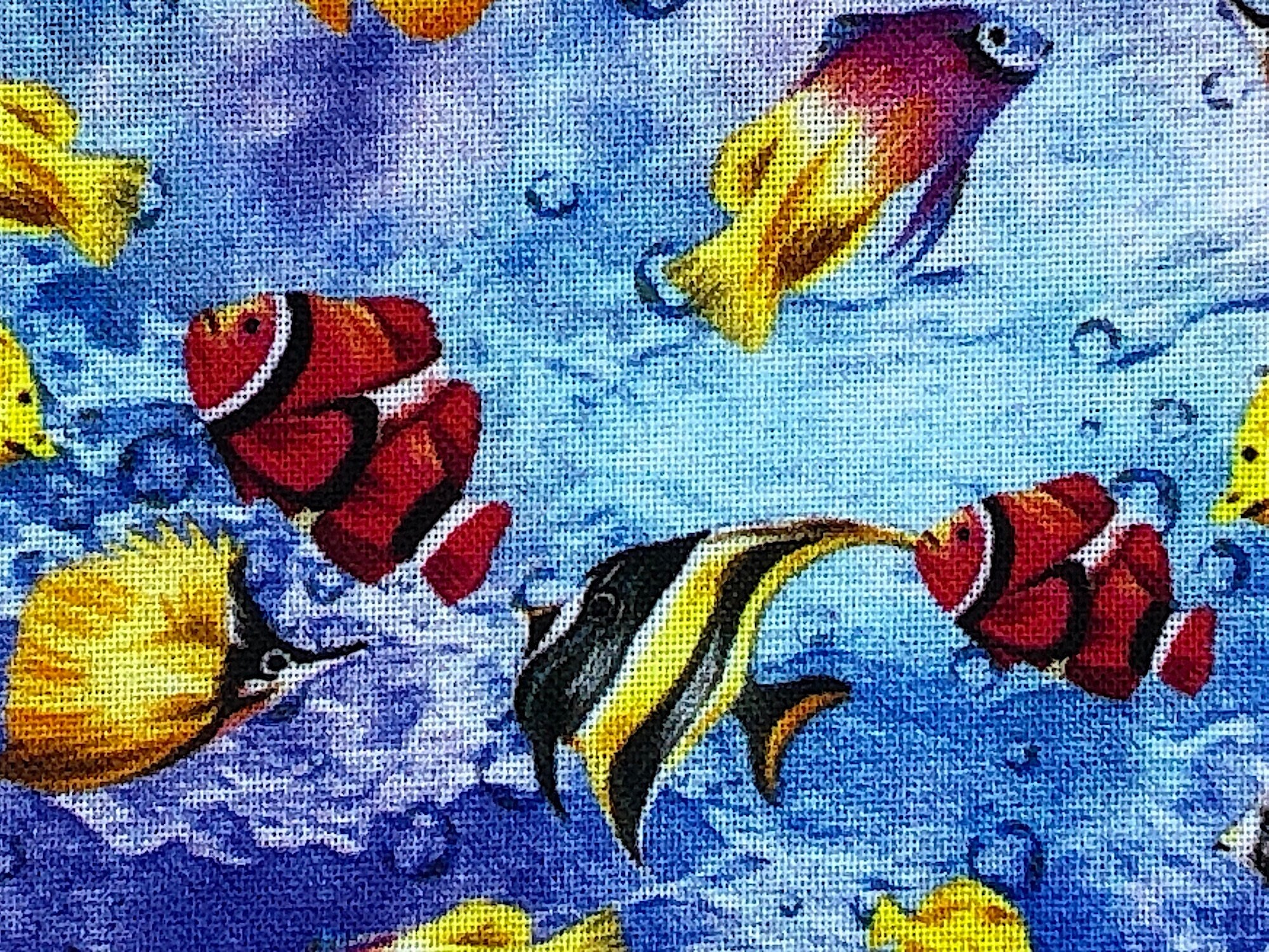 Close up of an angel fish and a clown fish.