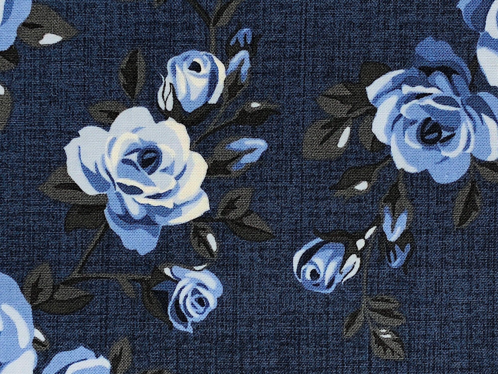 Close up of blue and white roses.