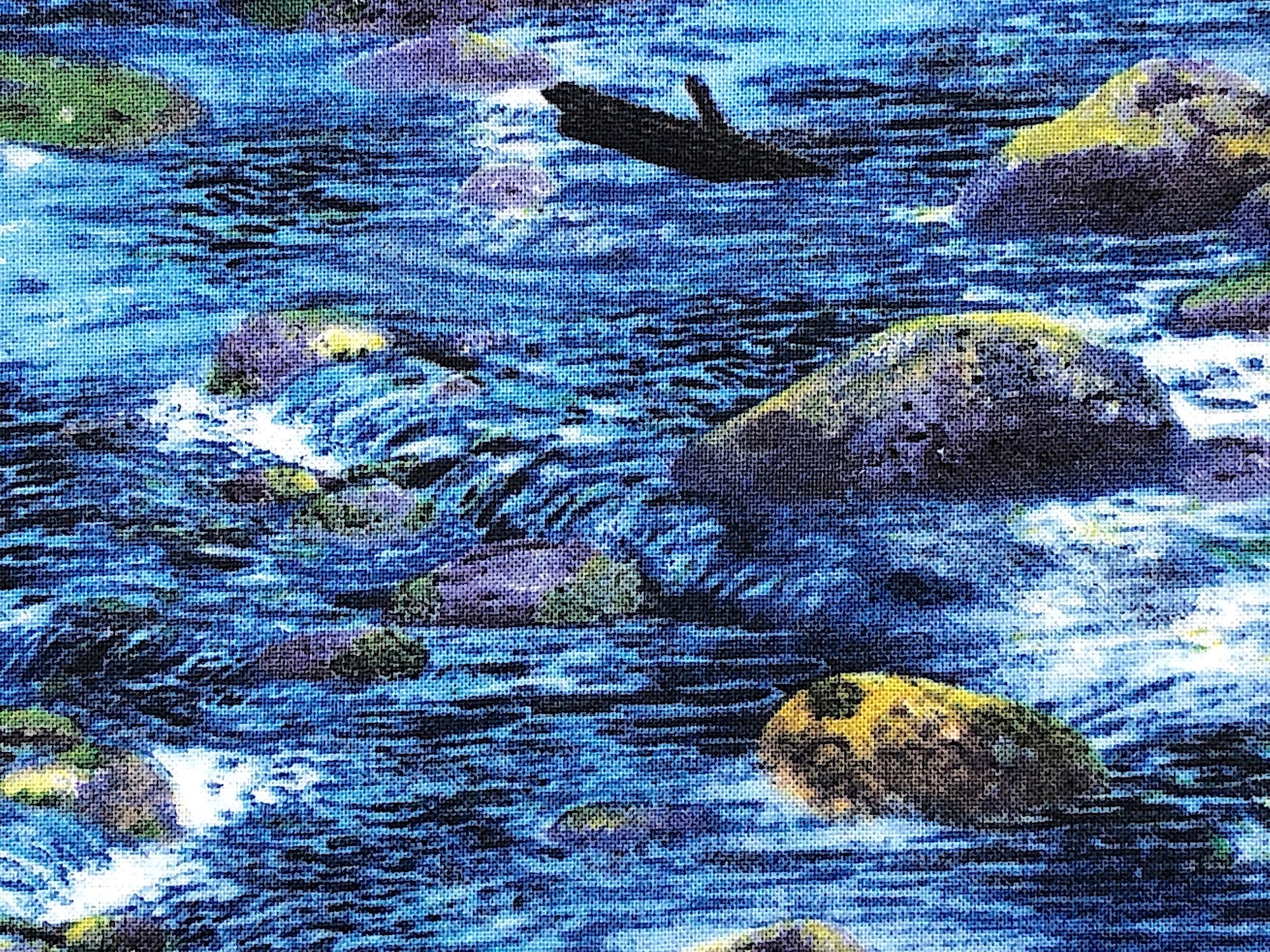 A river scene covers this fabric. There are moss covered rocks and sticks in this river fabric. The fabric is called A New Adventure.