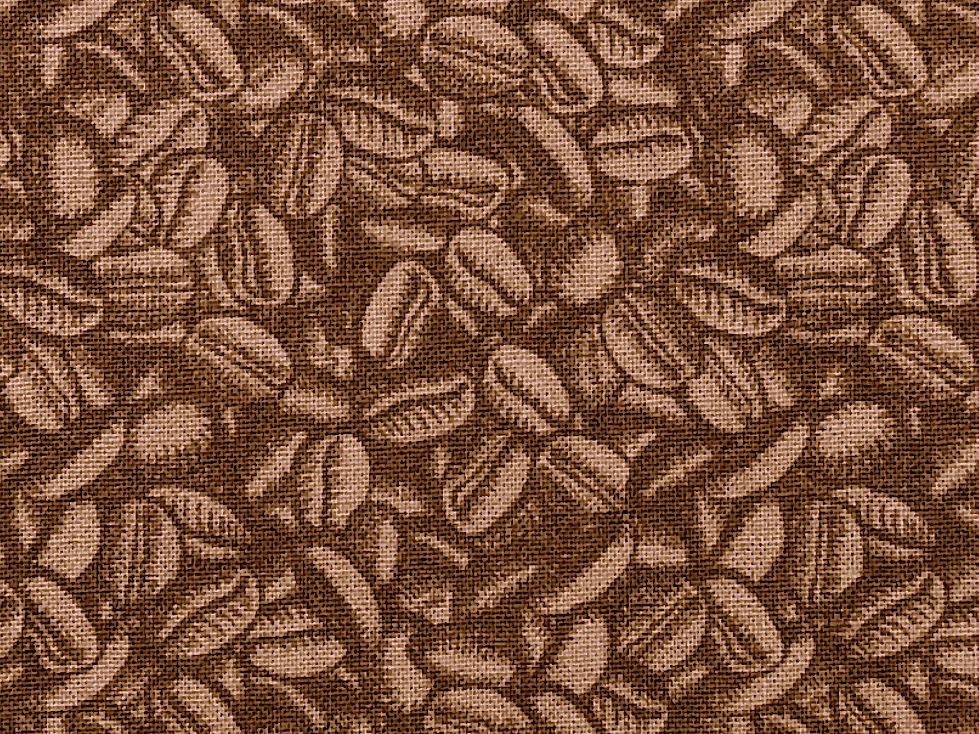Close up of coffee beans.