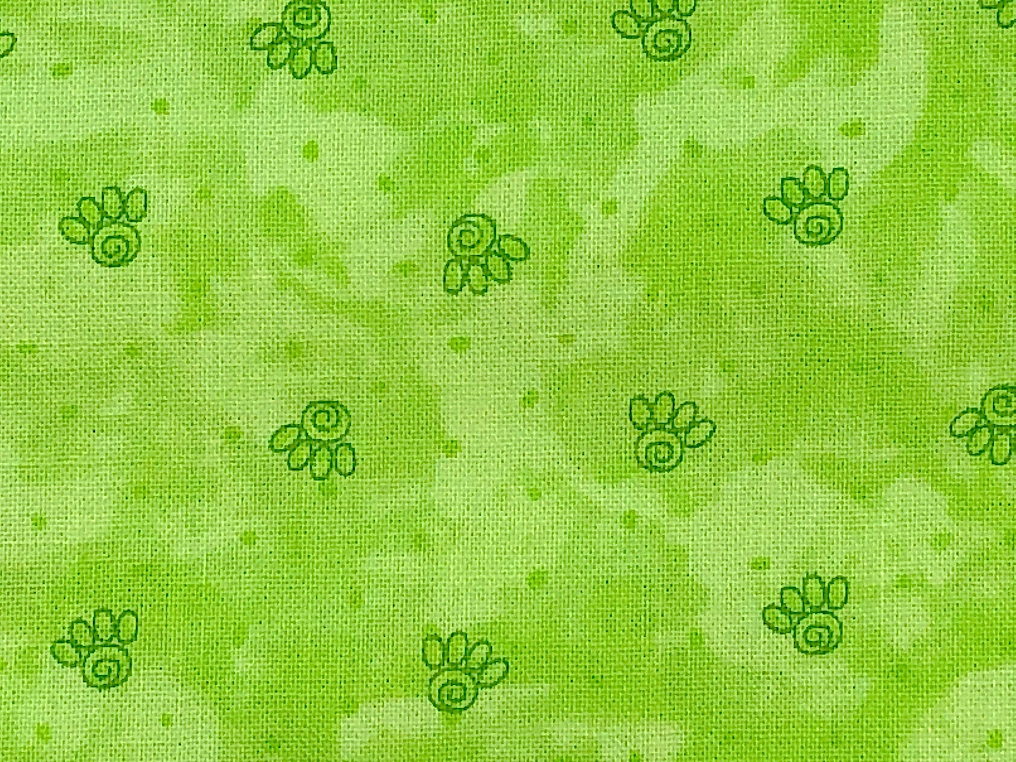 Close up of paw prints.
