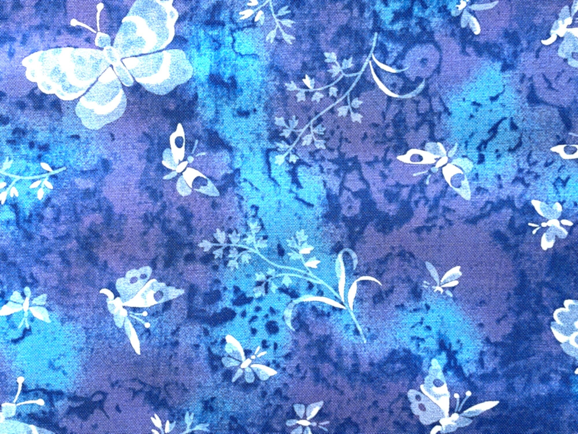 Close up of butterflies on blue.