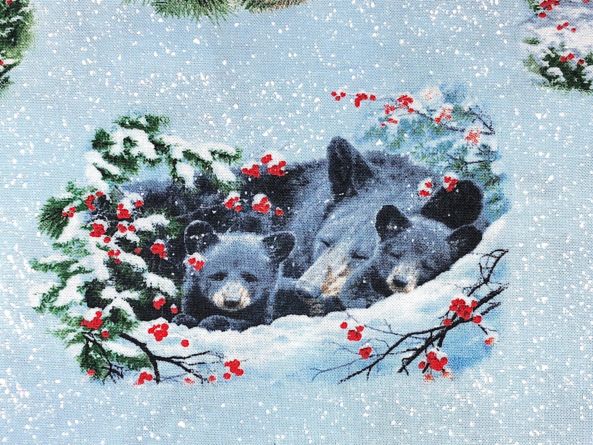 Close up of 3 bears sleeping in the snow.