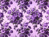 This fabric is a part of the Elegant Blooms collection and has purple and lavender flowers on a lavender background