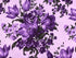 Close up of purple flowers.