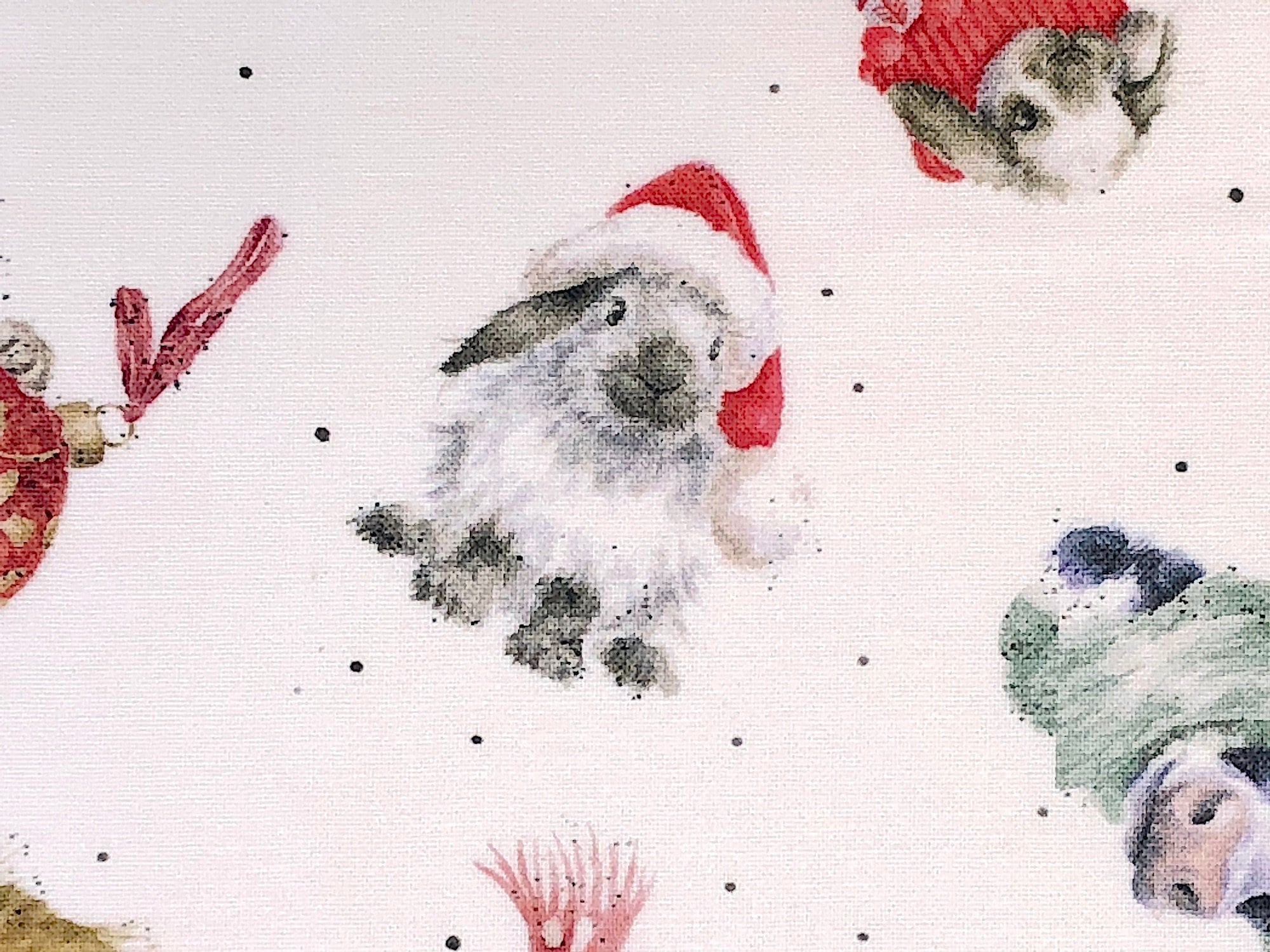 Close up of a rabbit wearing a Santa hat.