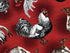 Close up of a white and black chicken on a red background.