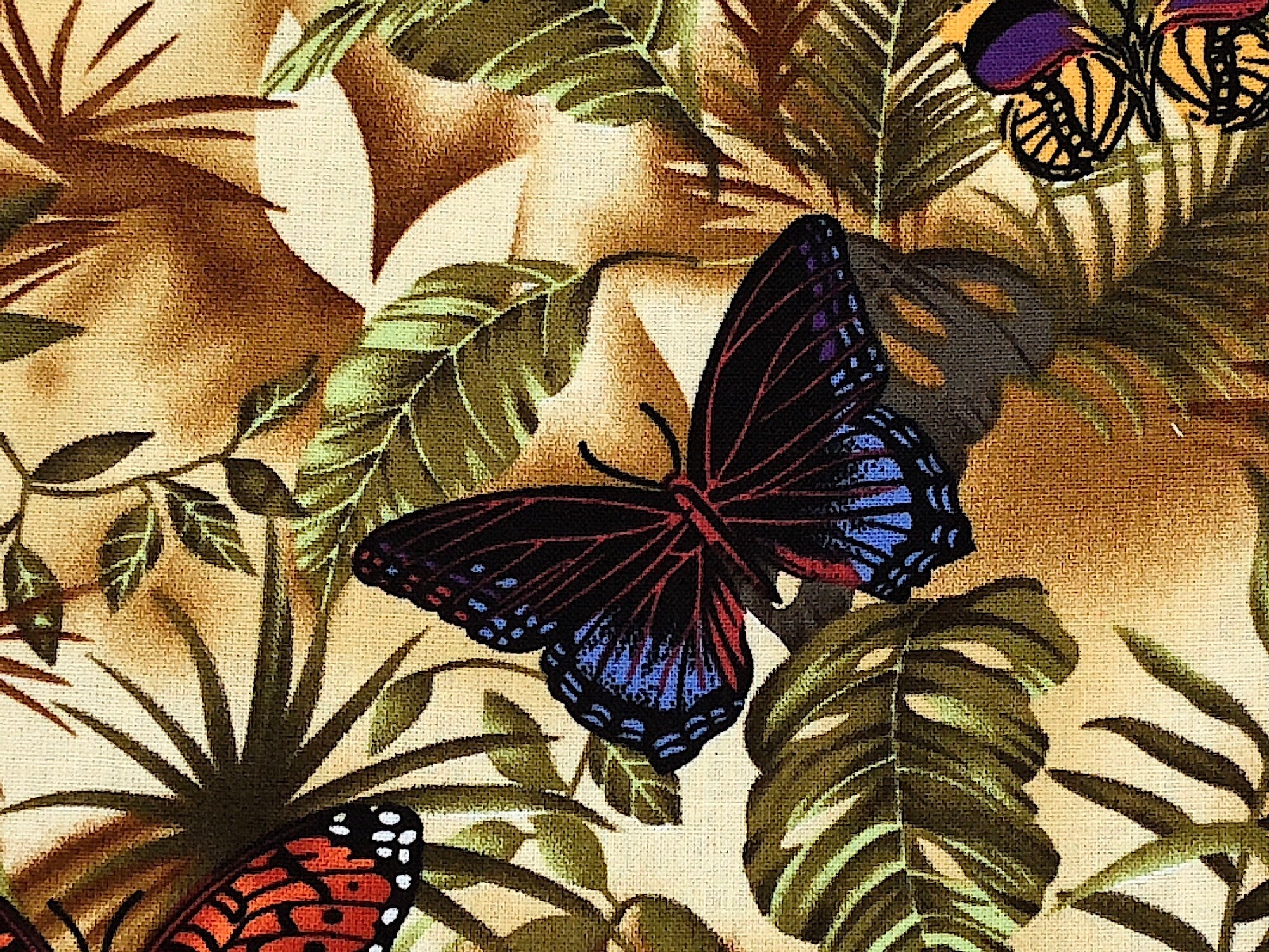 Close up of a butterfly and leaves.