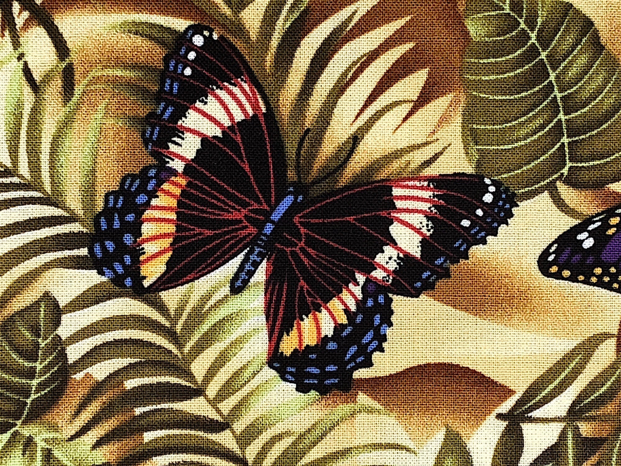 Close up of a butterfly that is black, red, yellow, cream and blue.