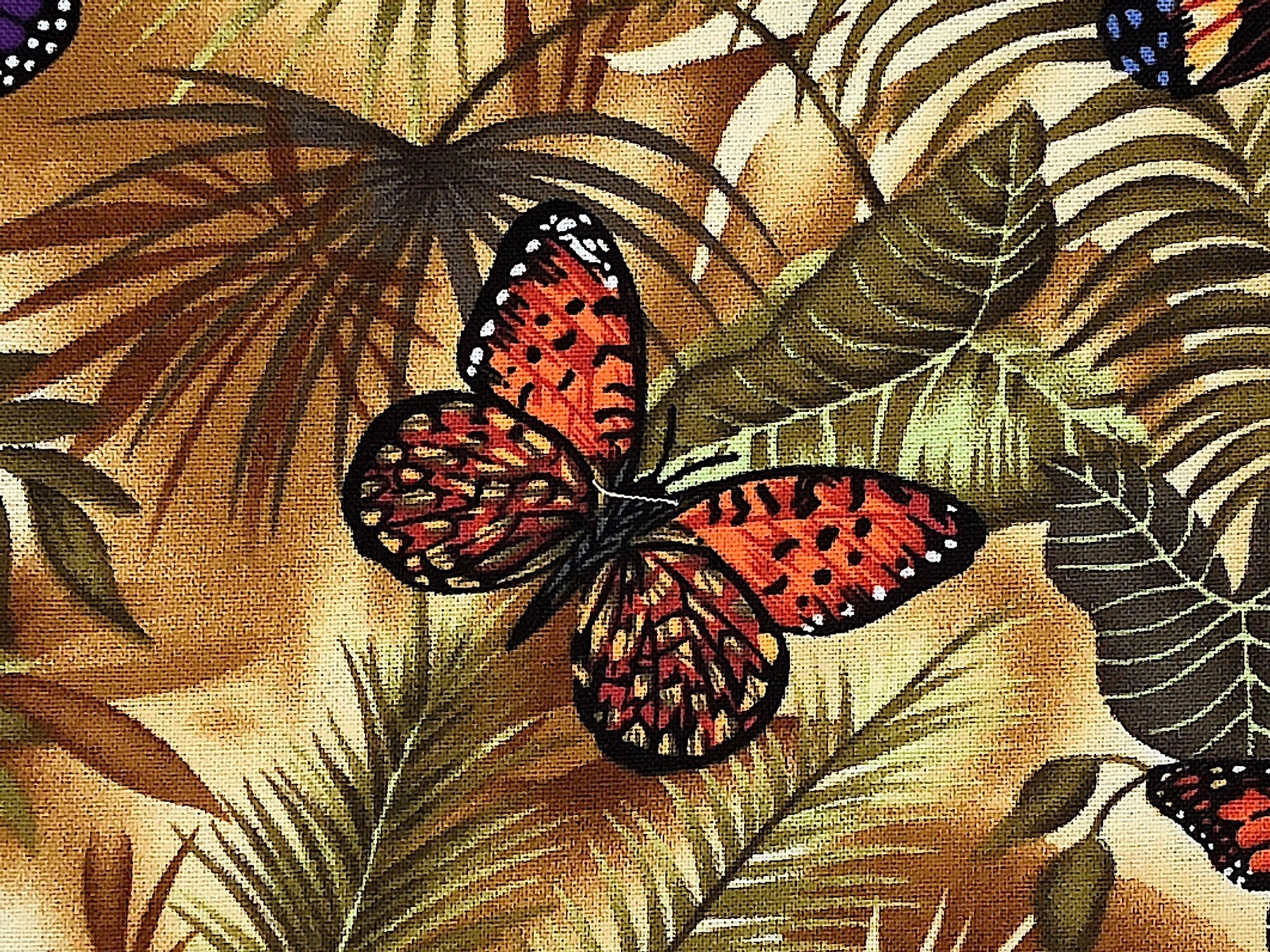 Close up of a yellow, orange, white and black butterfly on leaves.