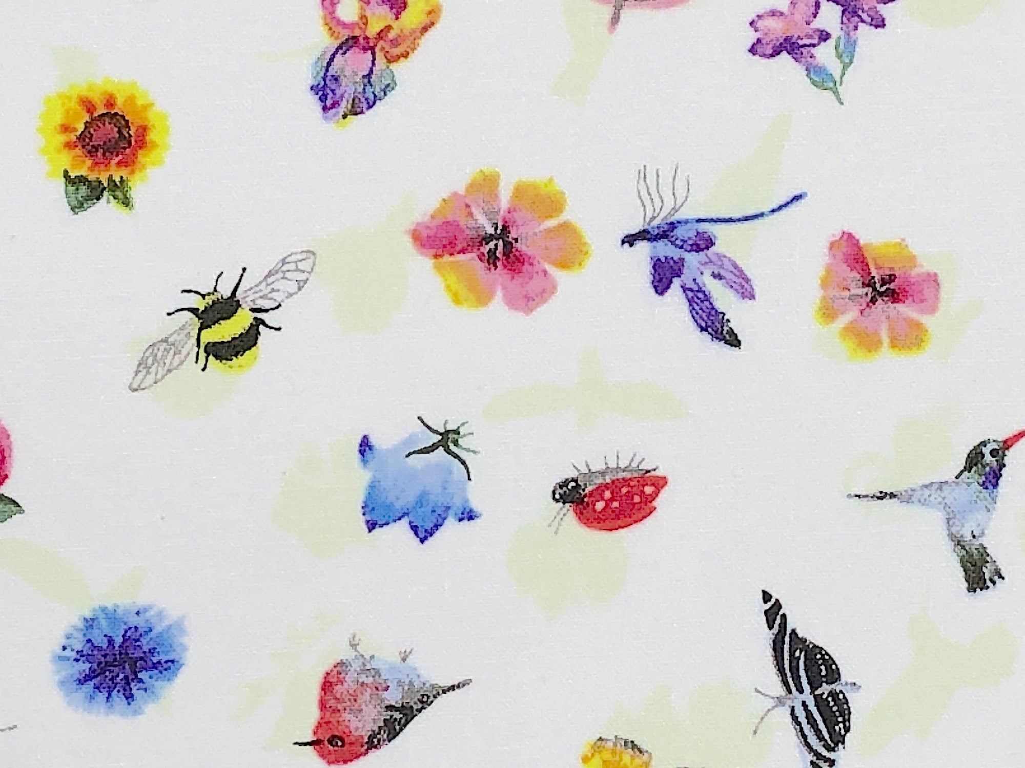 Flower Talk Hummingbirds and Flowers - Flower Fabric - Hummingbird Fabric - Butterfly Fabric - Cotton Fabric - FL-216