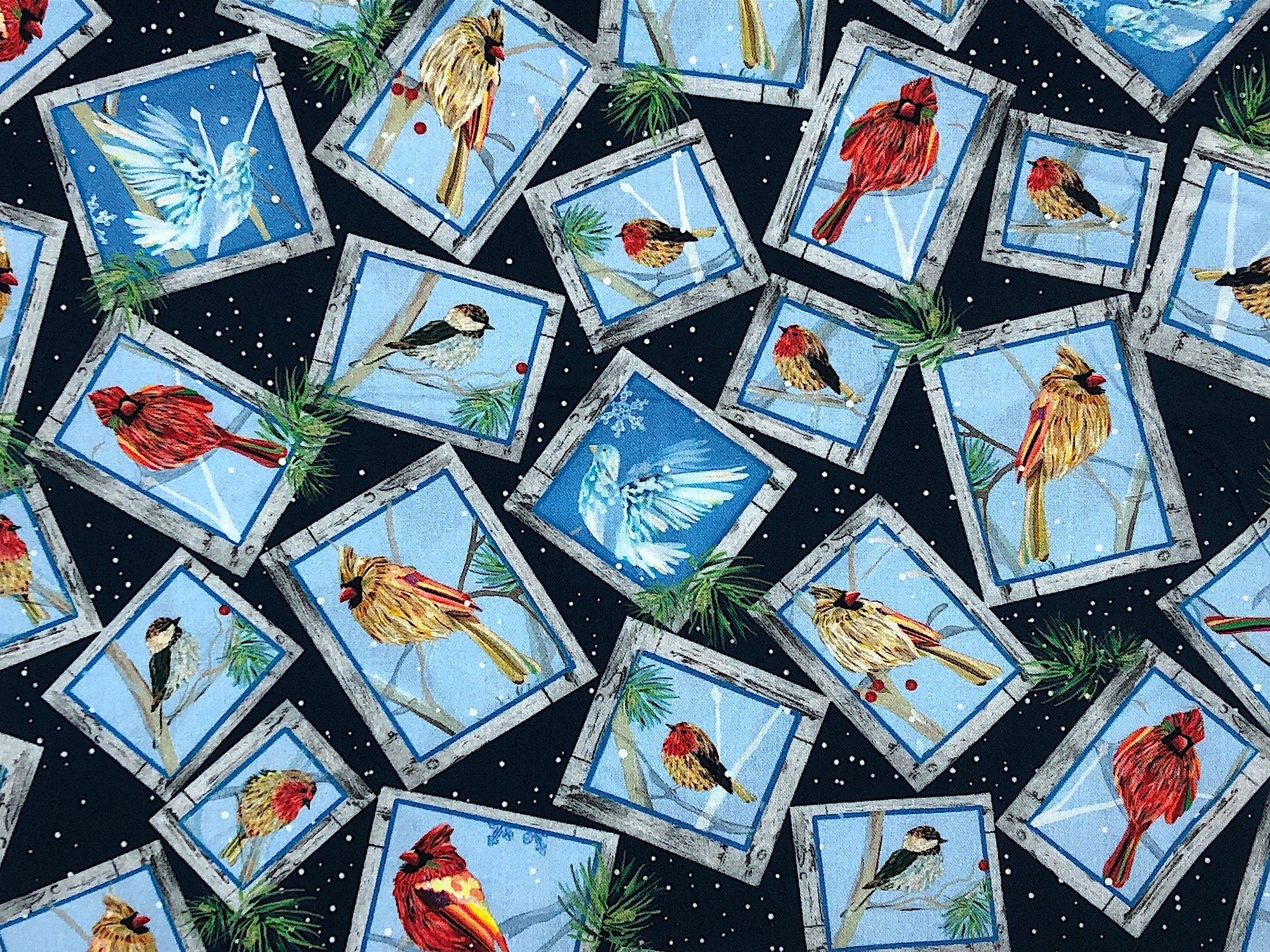 This fabric is part of the First Frost Birds Collection. This fabric has a dark blue background which is covered with frames with birds inside of them sitting on branches.