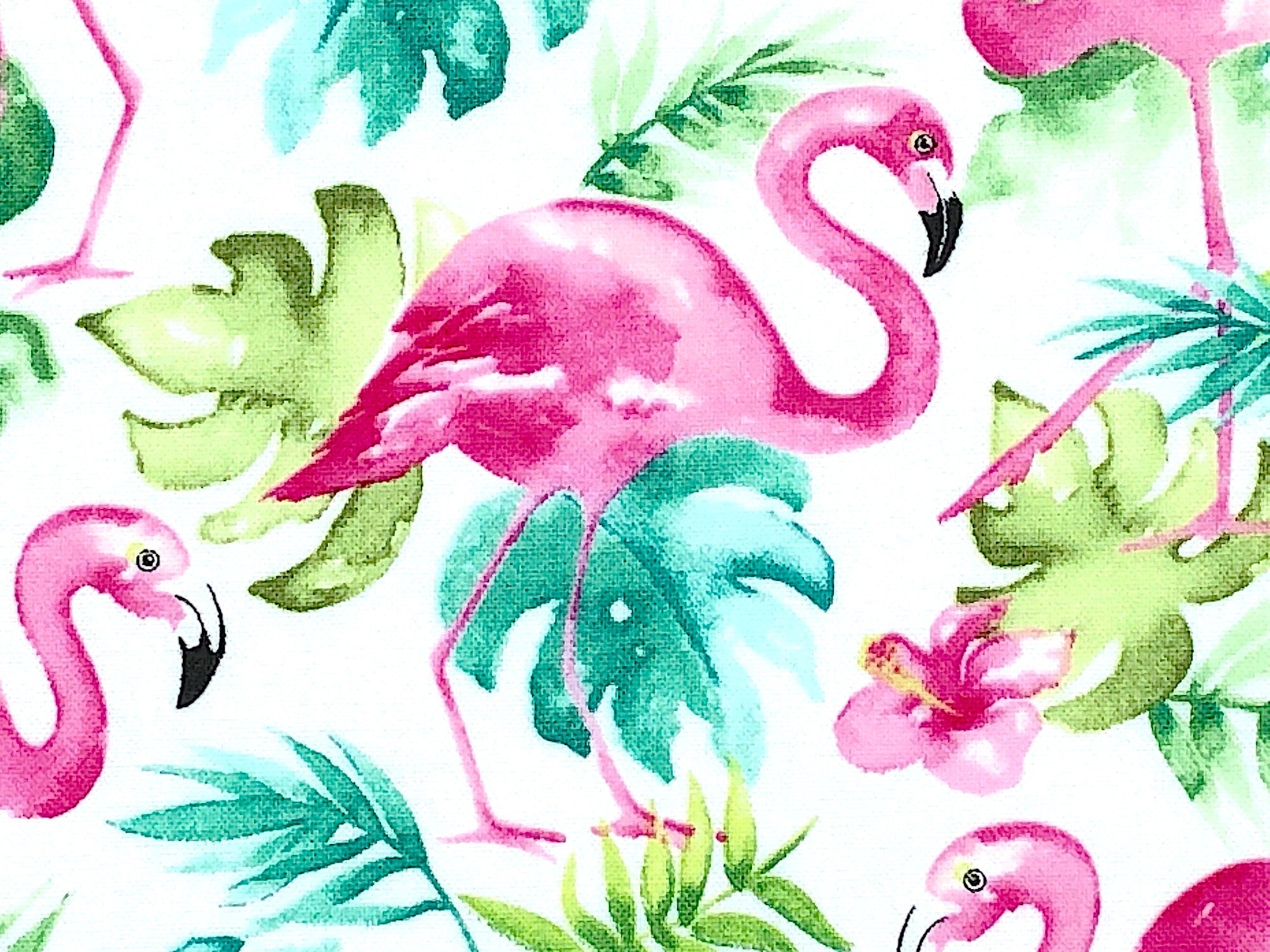 Close up of a pink flamingo and a green leaf.