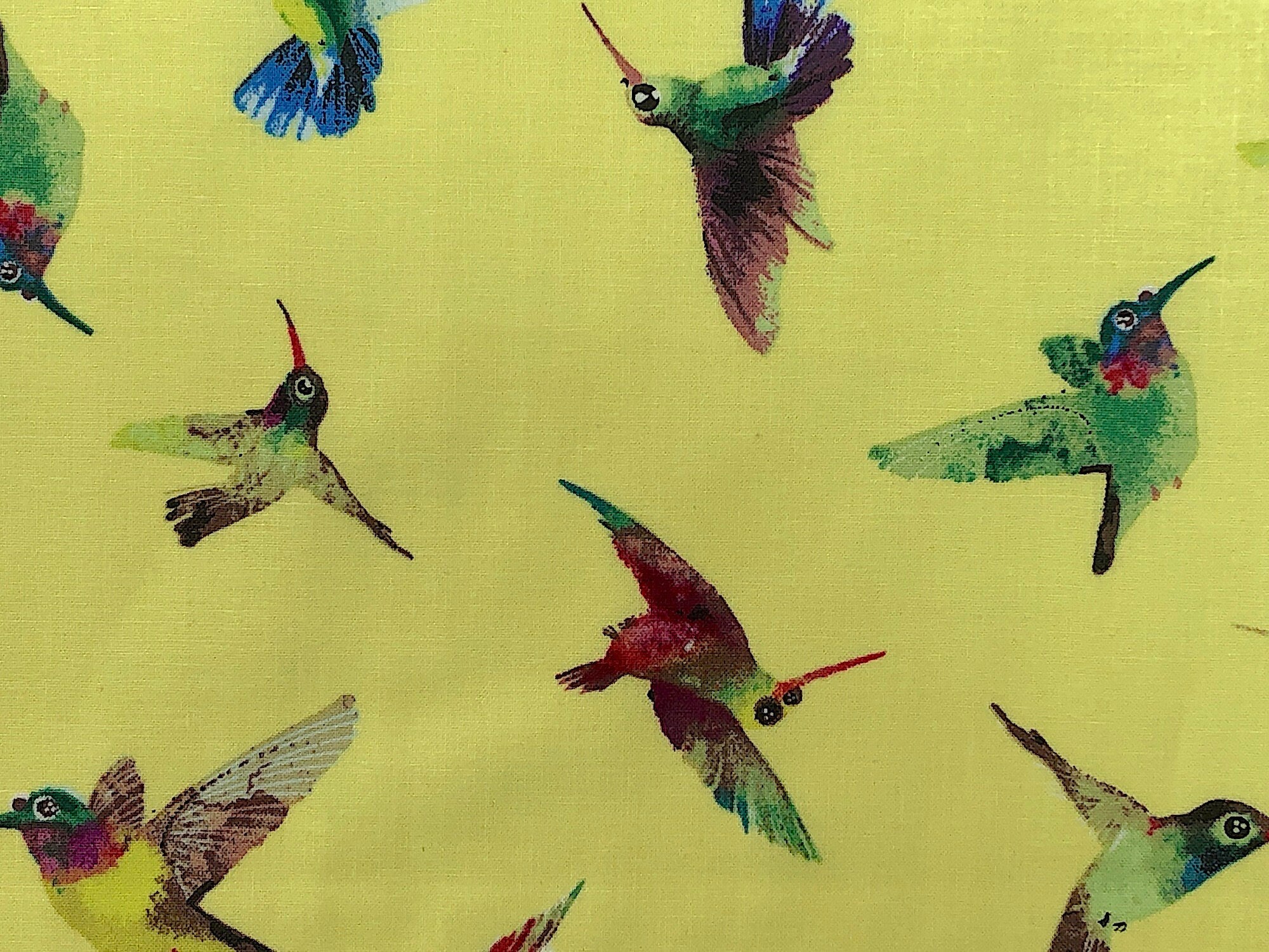 Close up of yellow cotton fabric covered with hummingbirds.