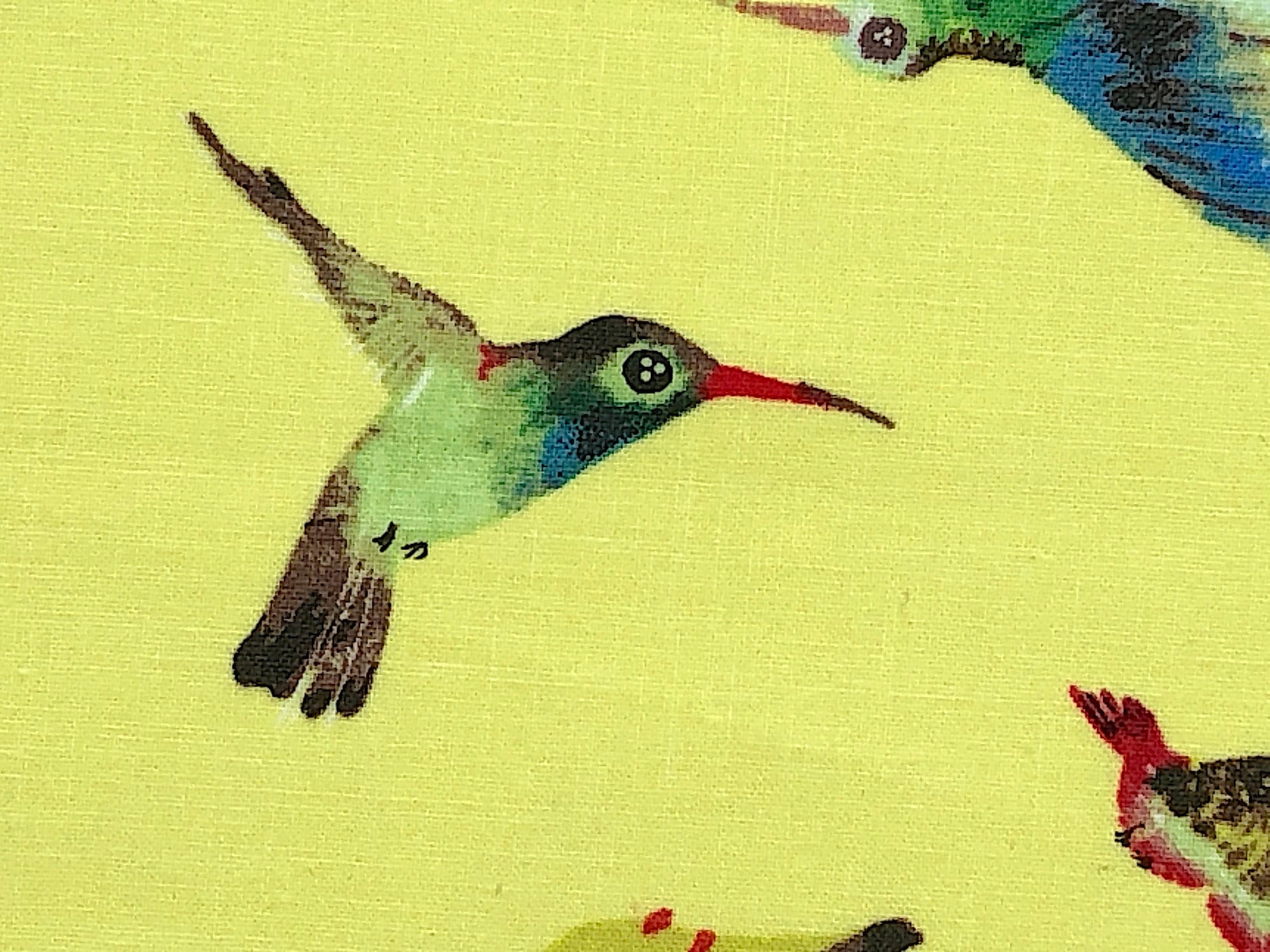Close up of a hummingbird on a yellow background.