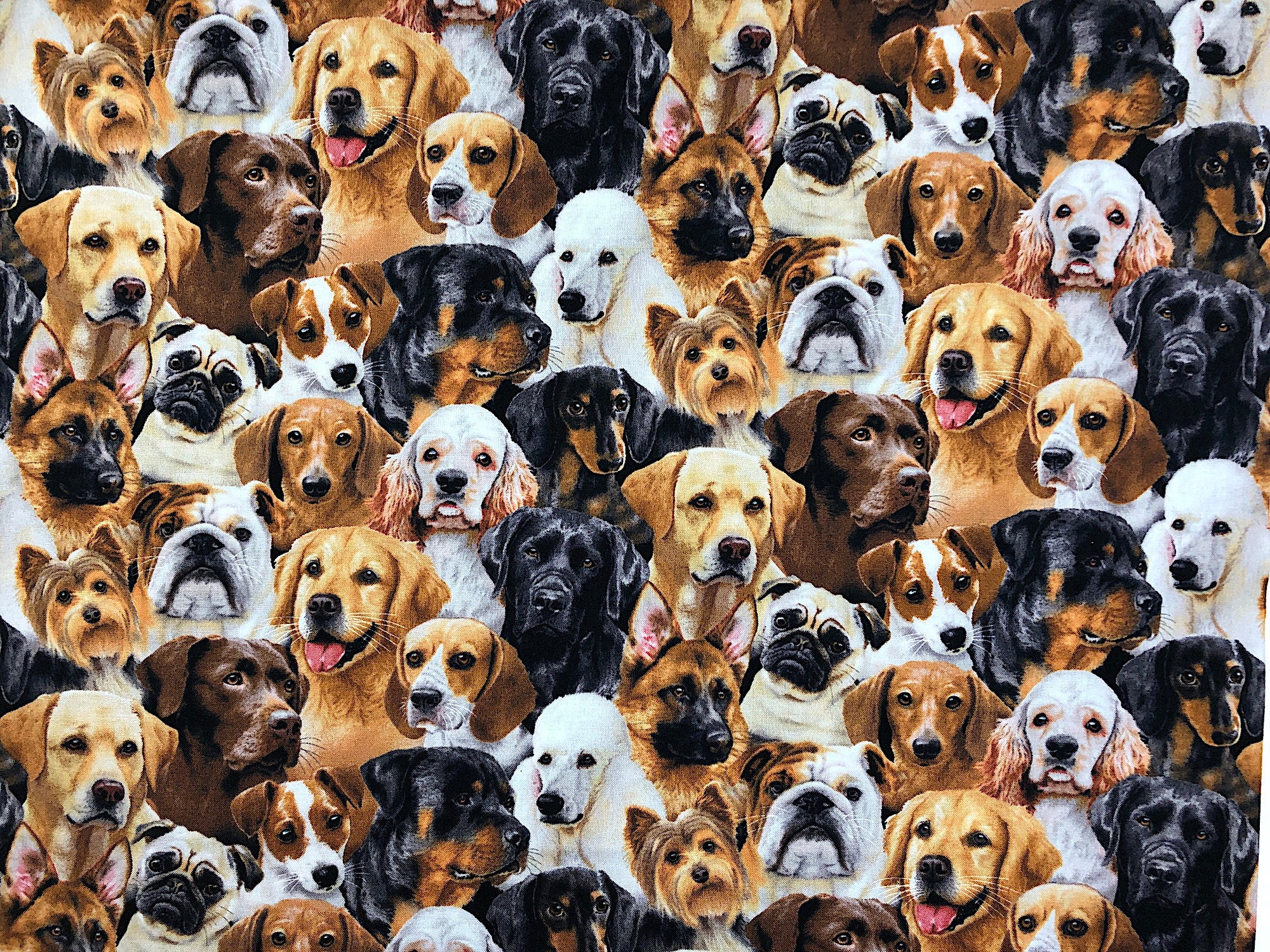 This fabric is called Dog Breeds and is covered with labs, yorkies, poodles and more dog breeds.