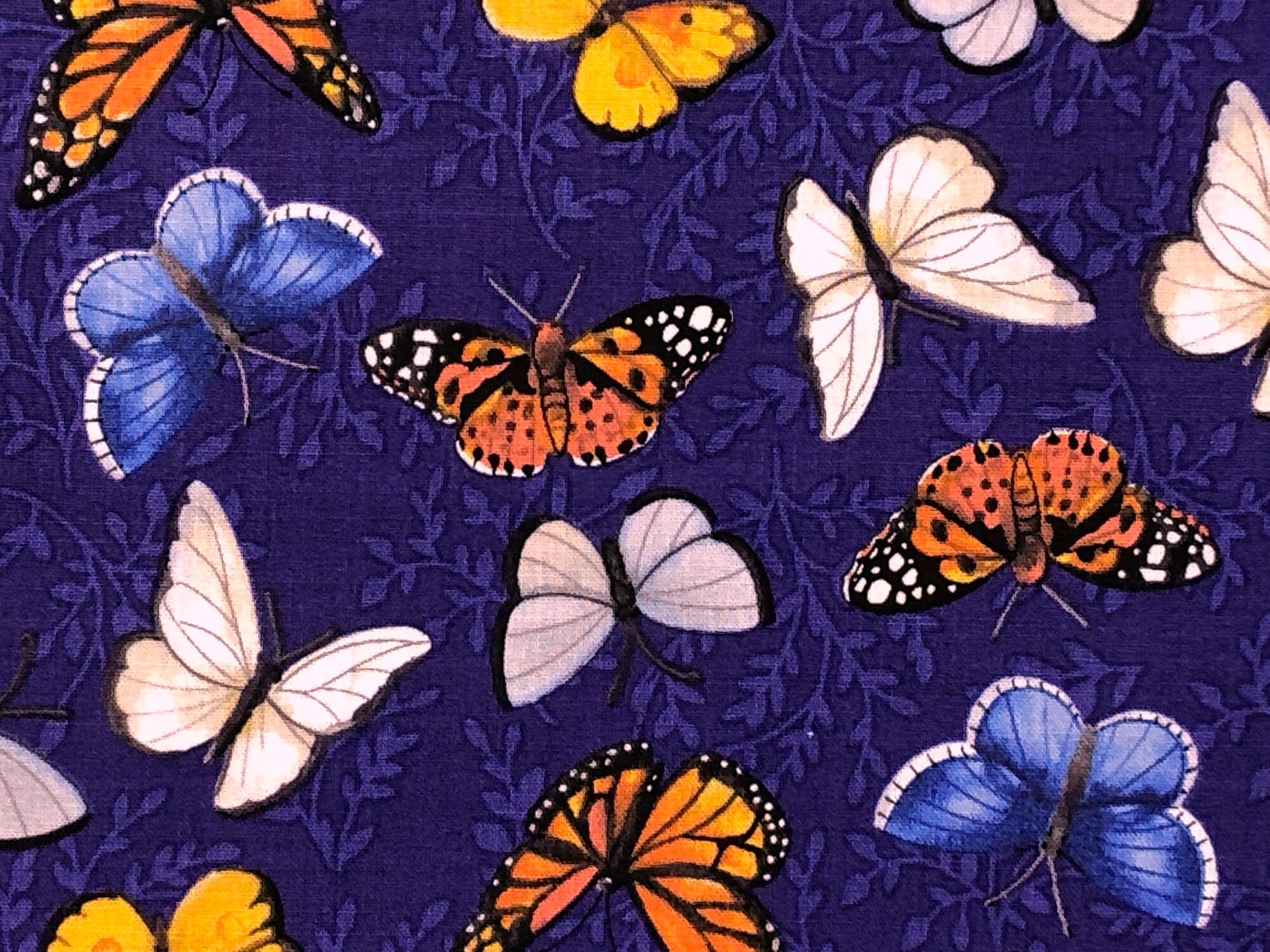 This fabric is called Sunny Fields Butterflies and is covered with white, yellow, orange and blue butterflies.